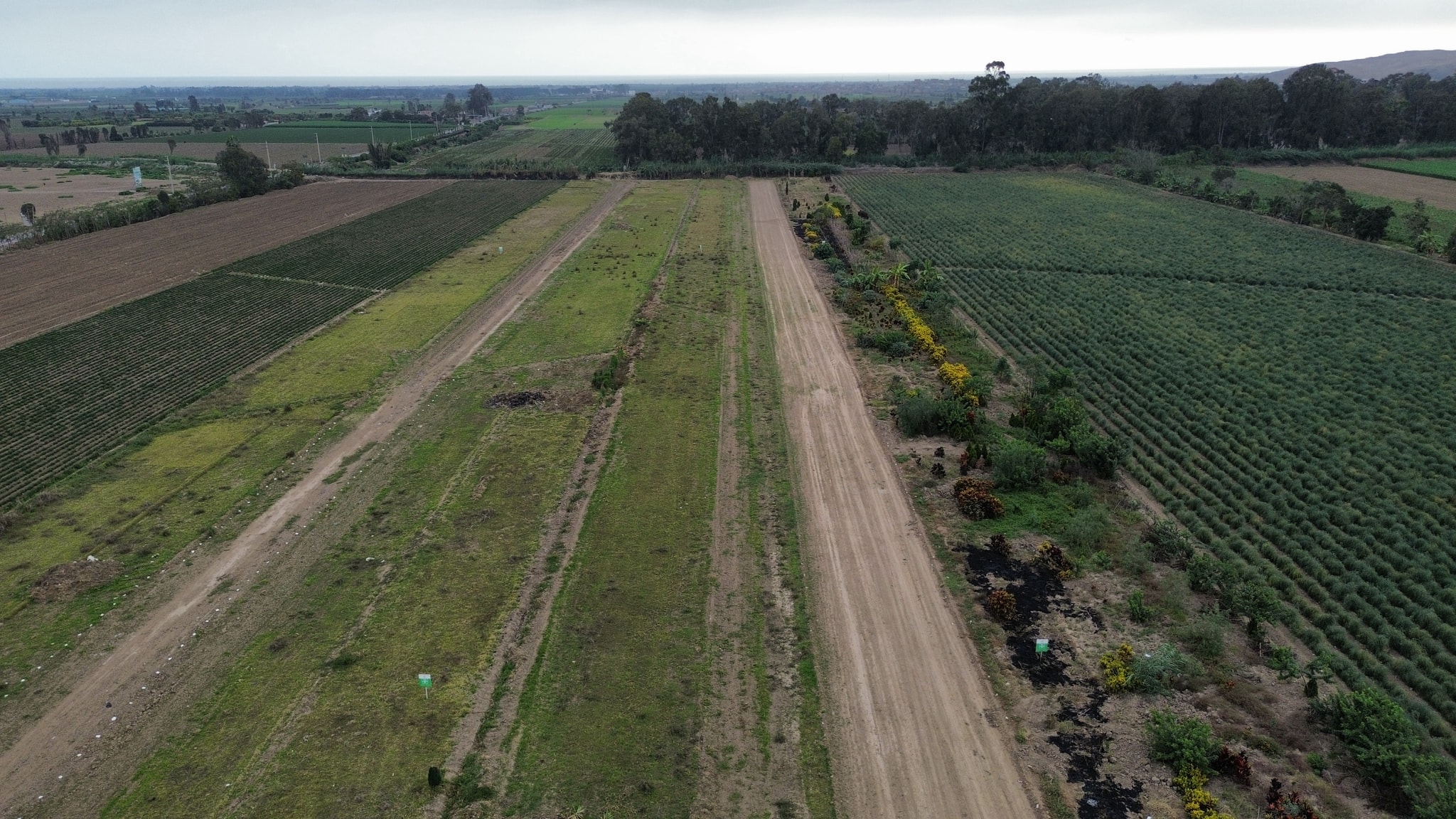 Terreno agrícola de 5 hectáreas — foto 3