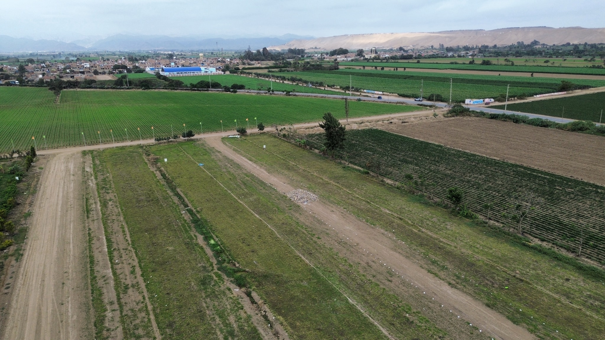 Terreno agrícola de 5 hectáreas — foto 2