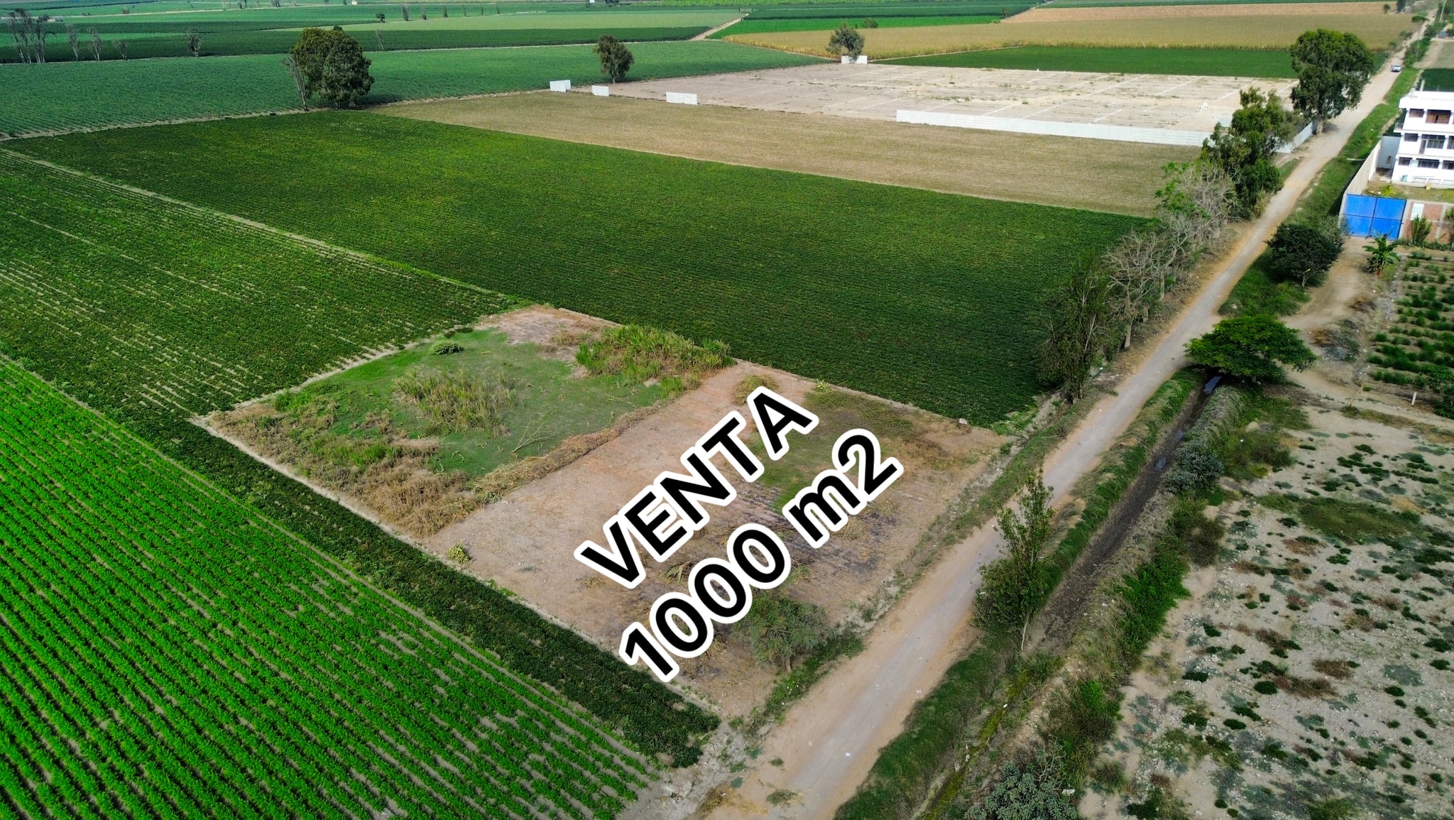 Parcela de 1000 m2 camino a Milkito — foto 1