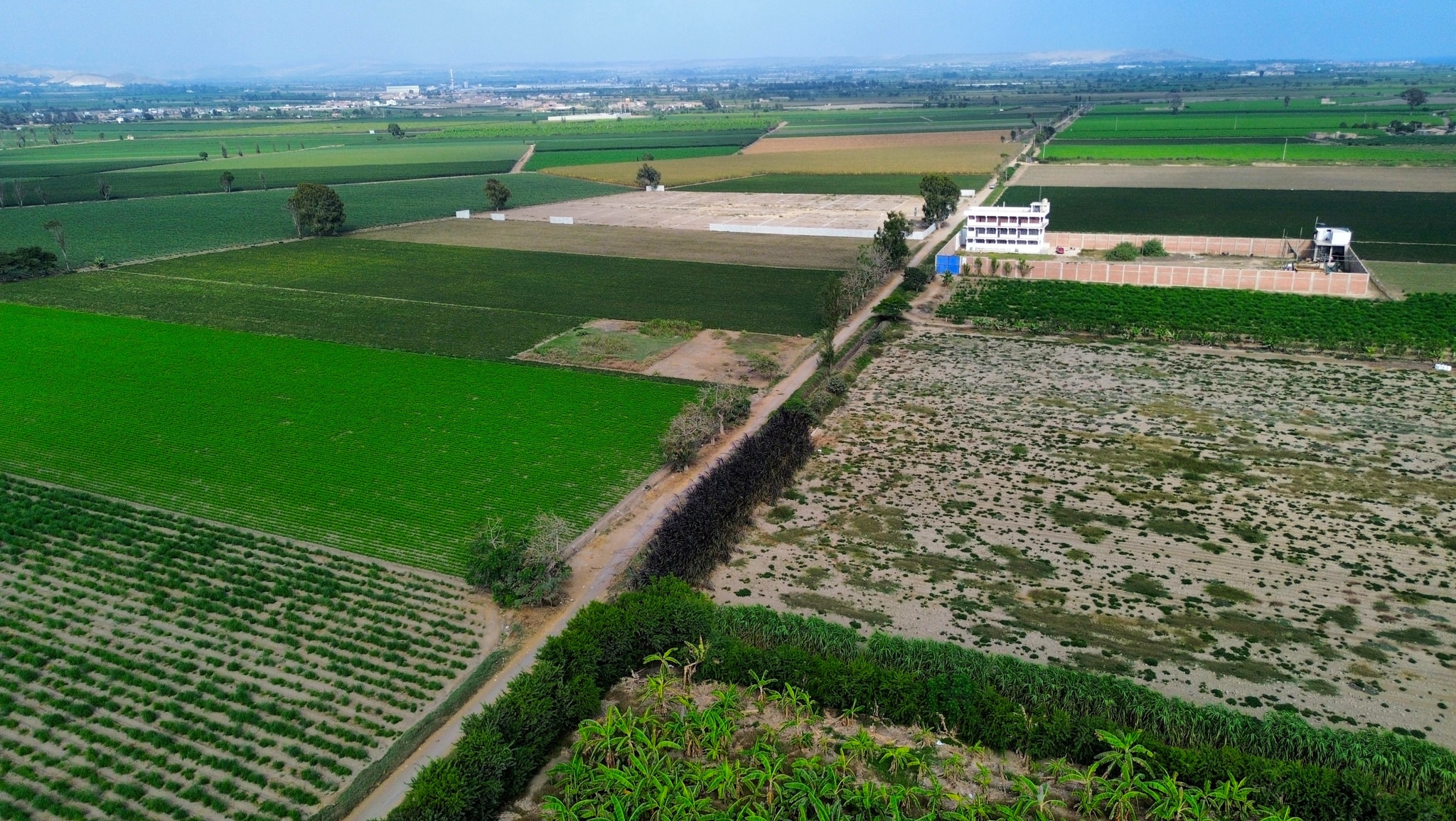 Parcela de 1000 m2 camino a Milkito — foto 3