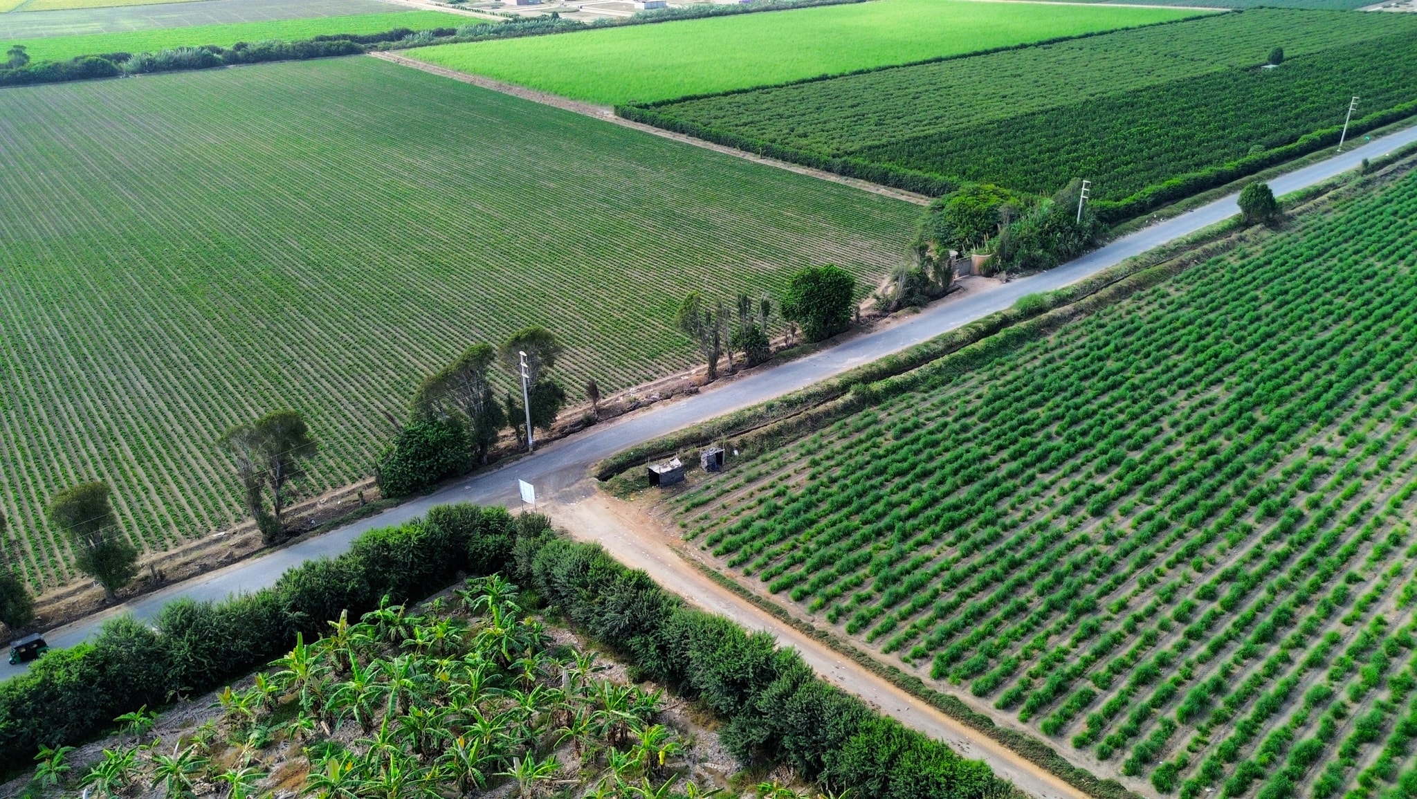 Parcela de 1000 m2 camino a Milkito — foto 5