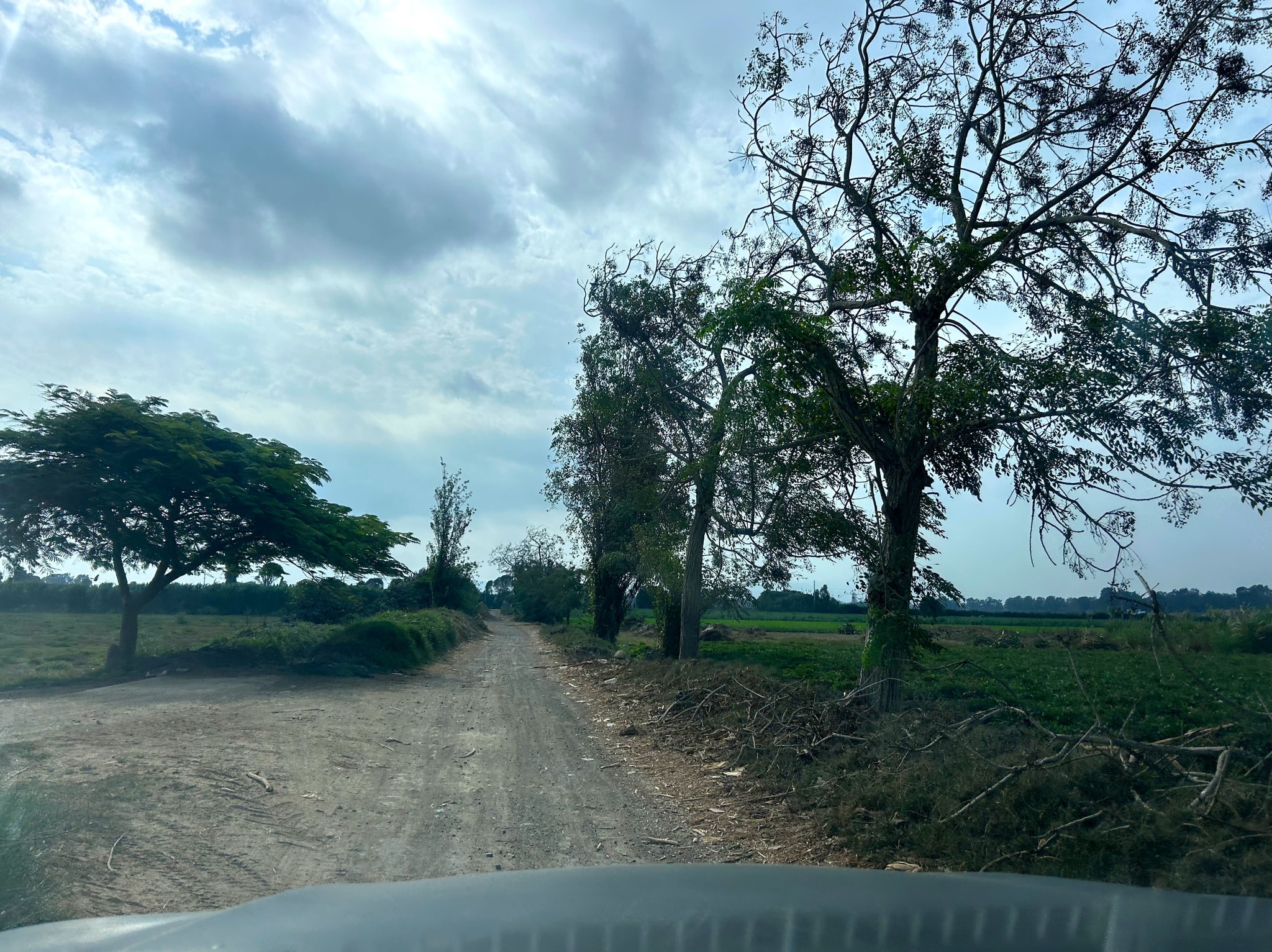 Parcela de 1000 m2 camino a Milkito — foto 6