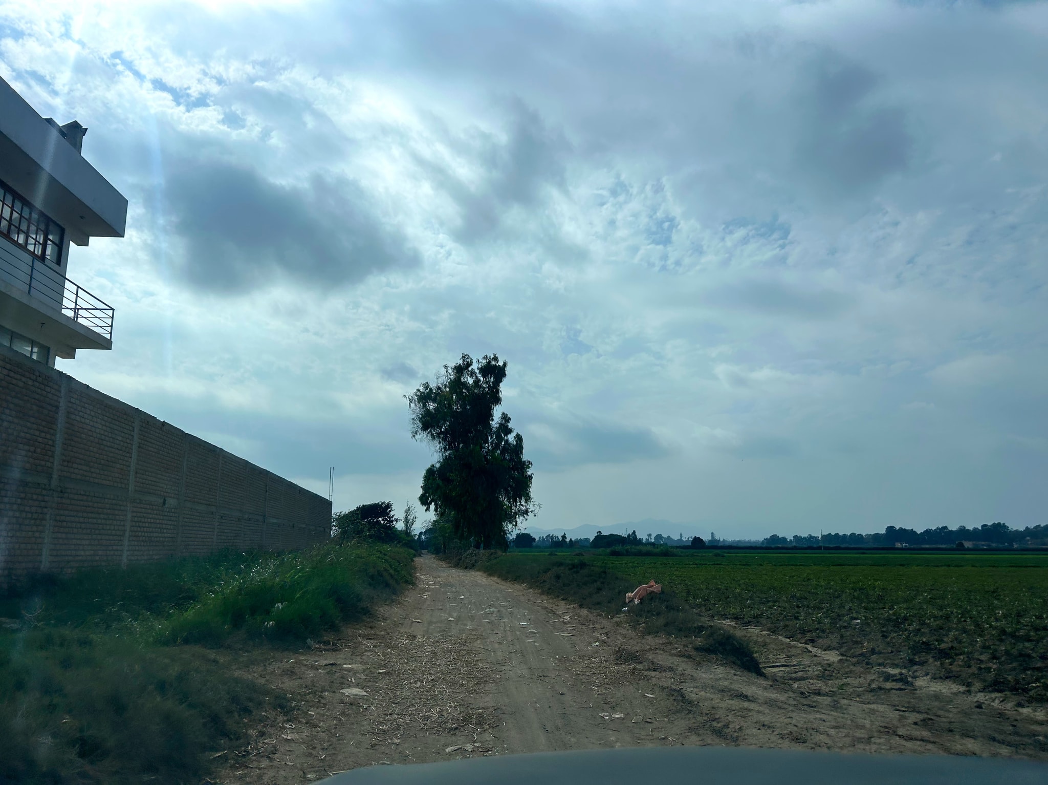 Parcela de 1000 m2 camino a Milkito — foto 7