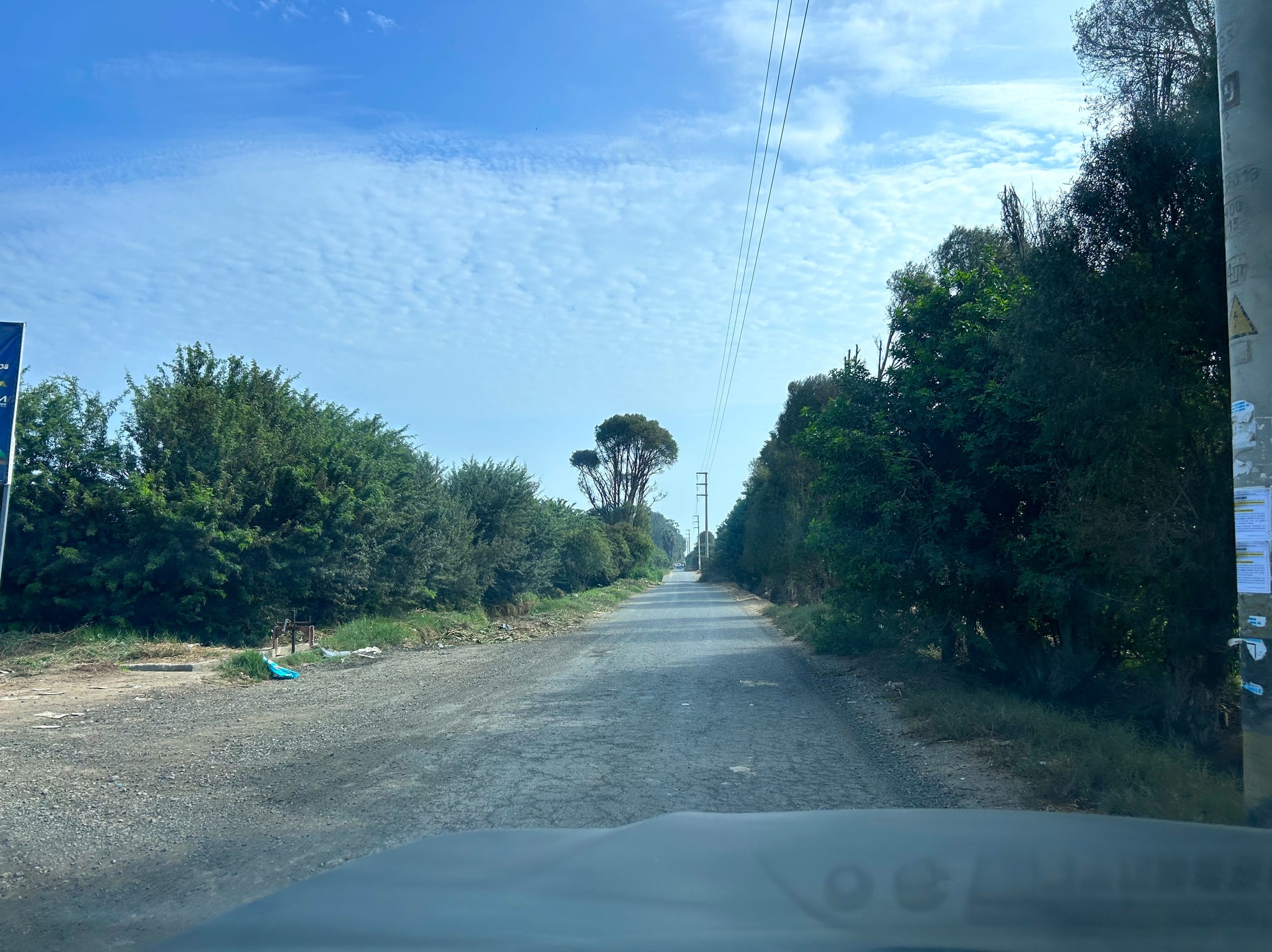 Parcela de 1000 m2 camino a Milkito — foto 10