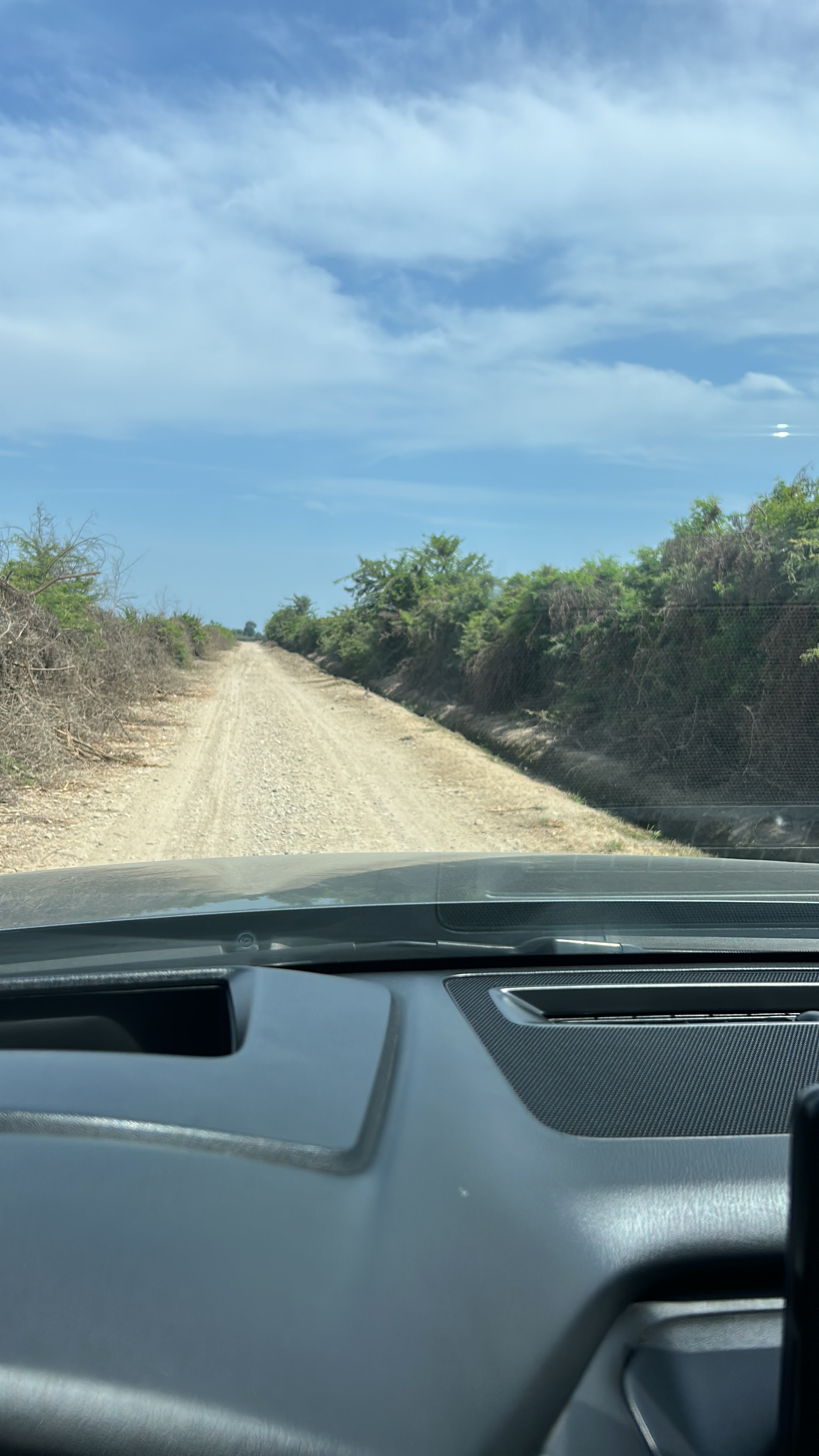 Venta de 10 has de cultivo — foto 11