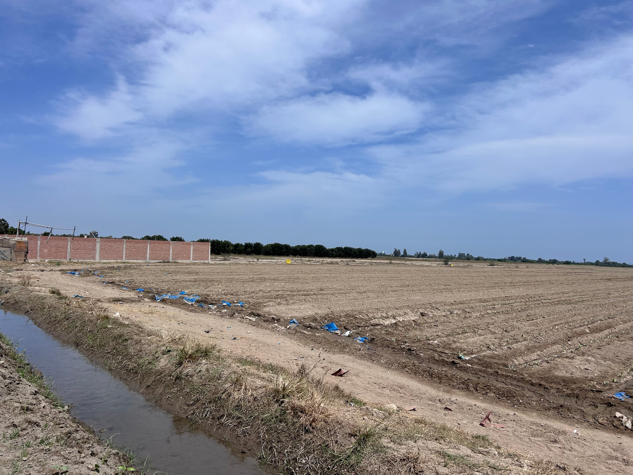 Venta de 10 has de cultivo — foto 3