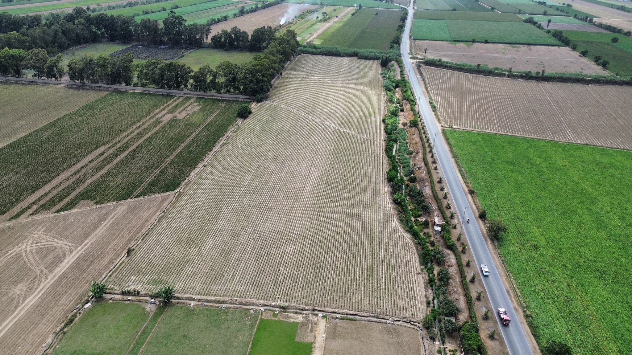 Venta de 4 hectáreas en San Luis Cañete — foto 6