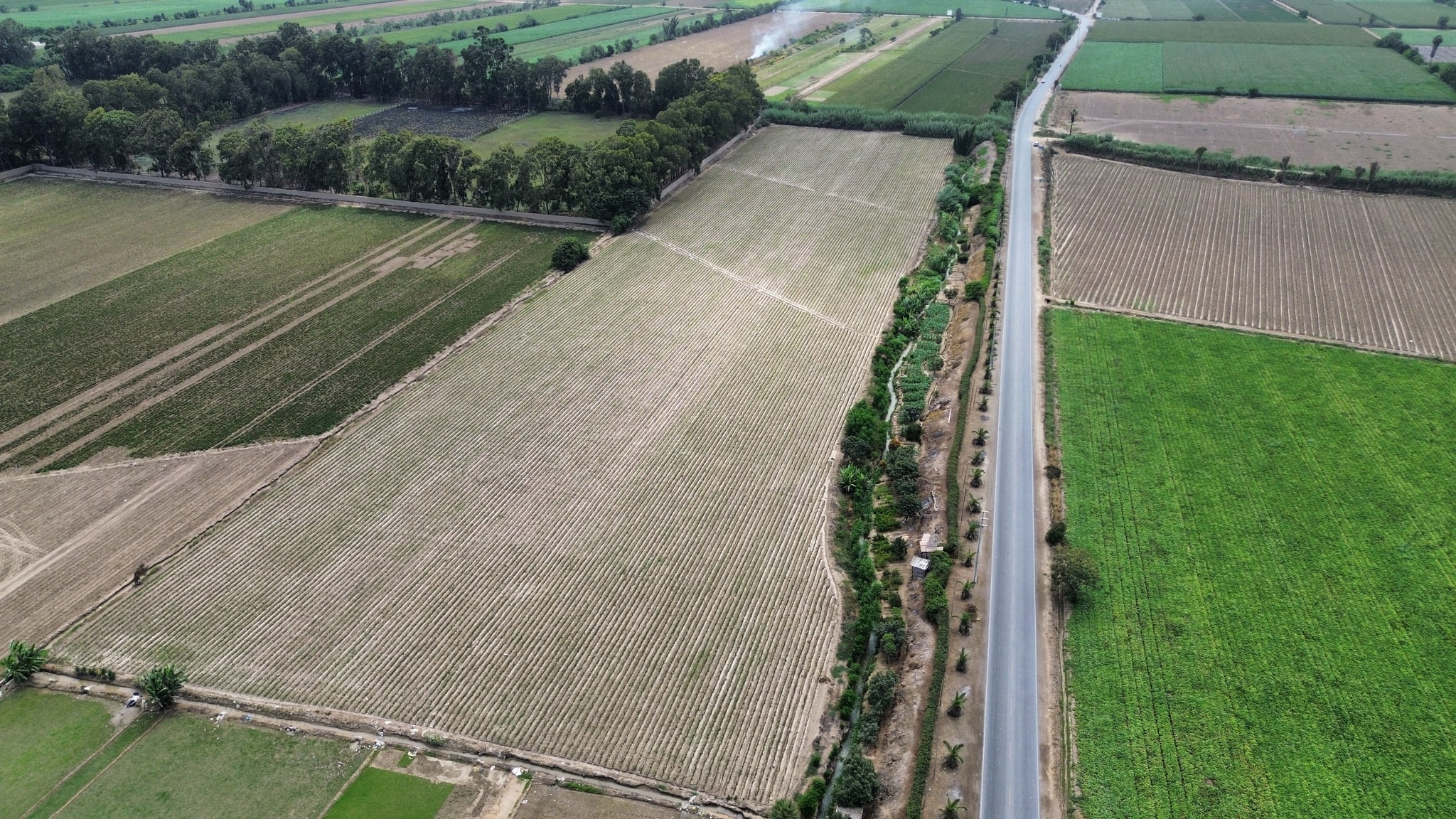 Venta de 4 hectáreas en San Luis Cañete — foto 1