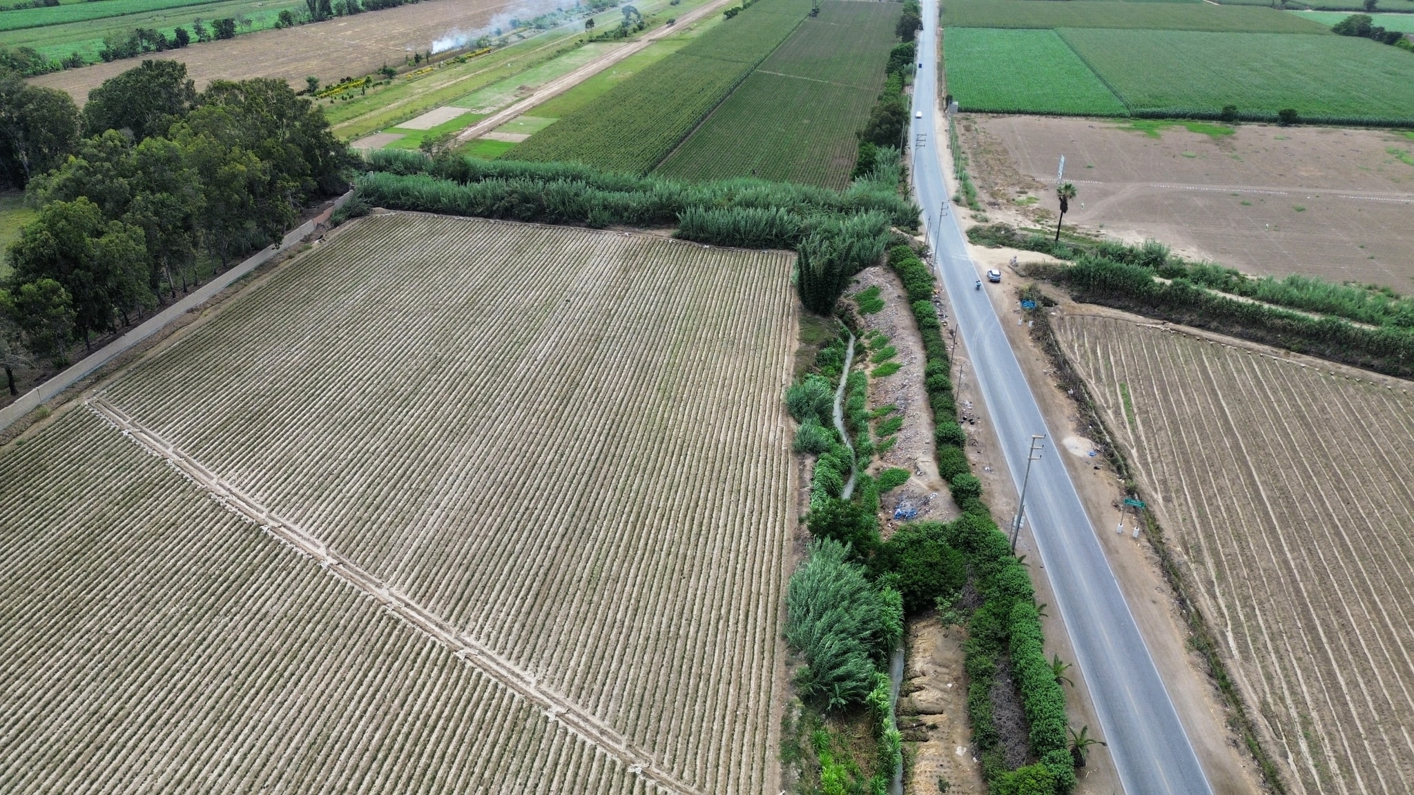 Venta de 4 hectáreas en San Luis Cañete — foto 5