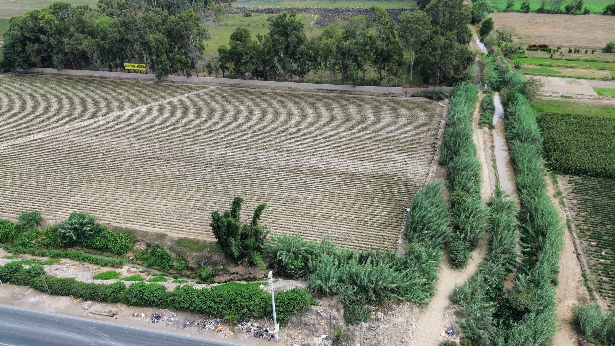 Venta de 4 hectáreas en San Luis Cañete — foto 4