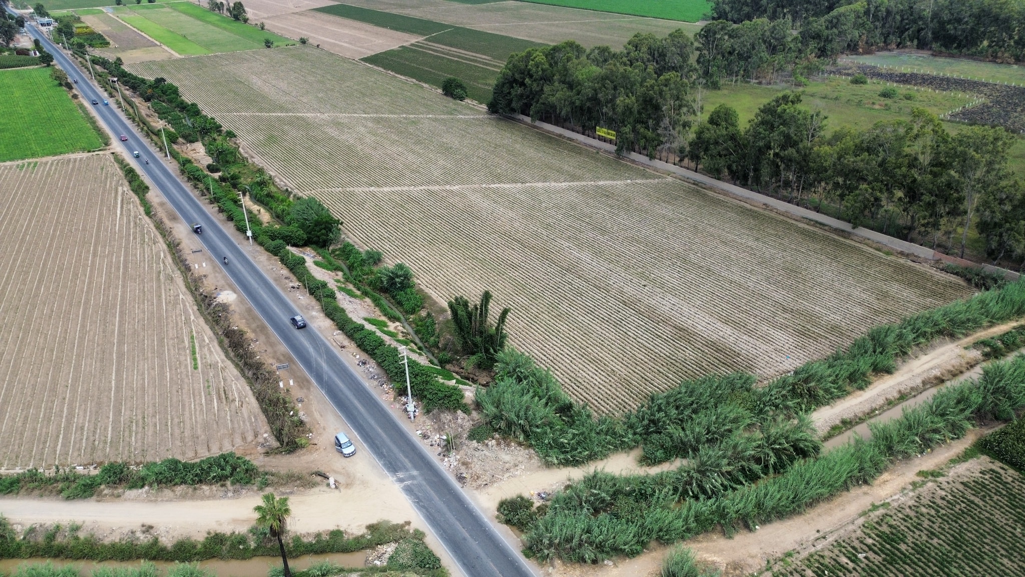 Venta de 4 hectáreas en San Luis Cañete — foto 3