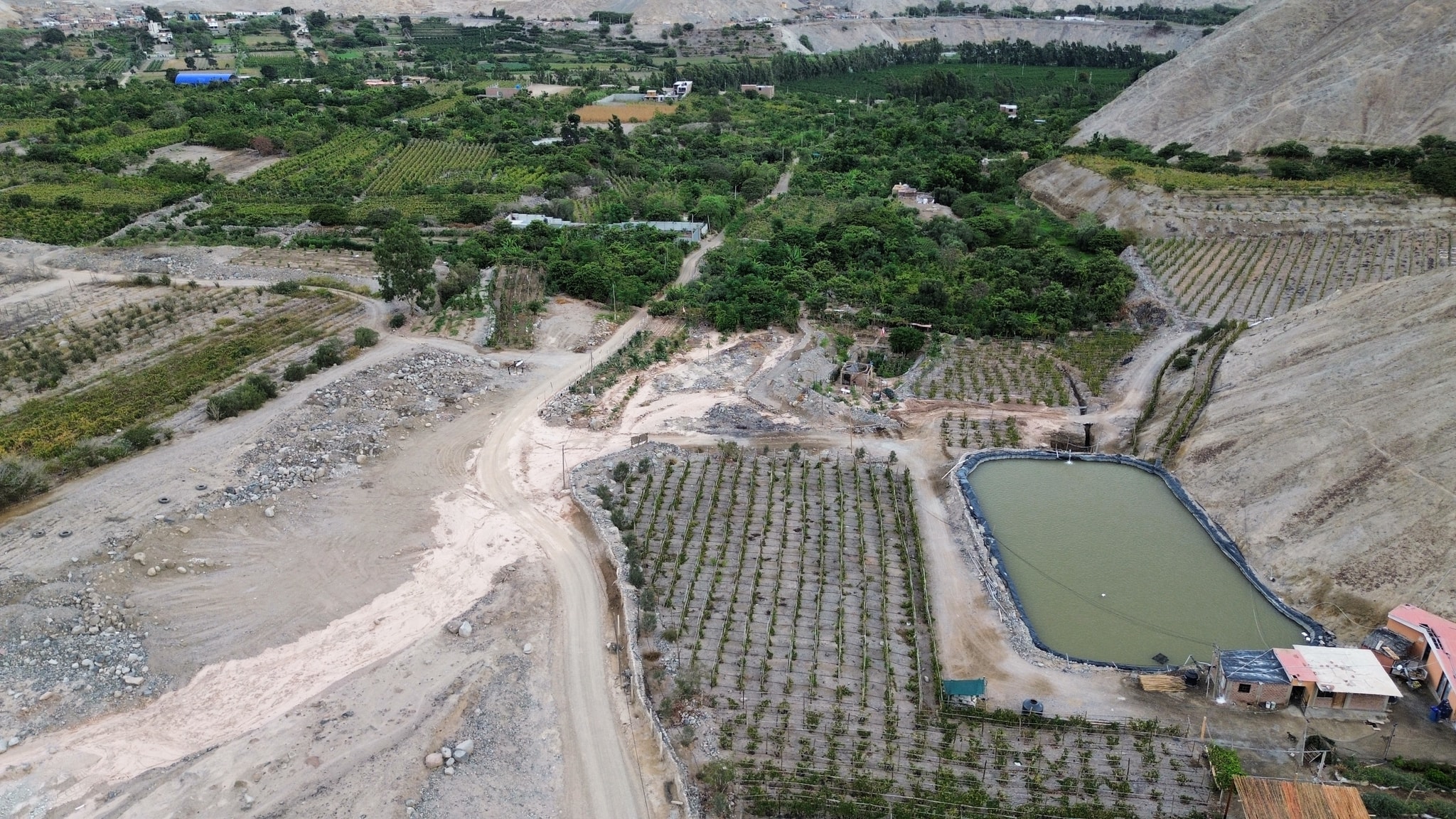 VENTA FUNDO 21 Has en Lunahuana — foto 1