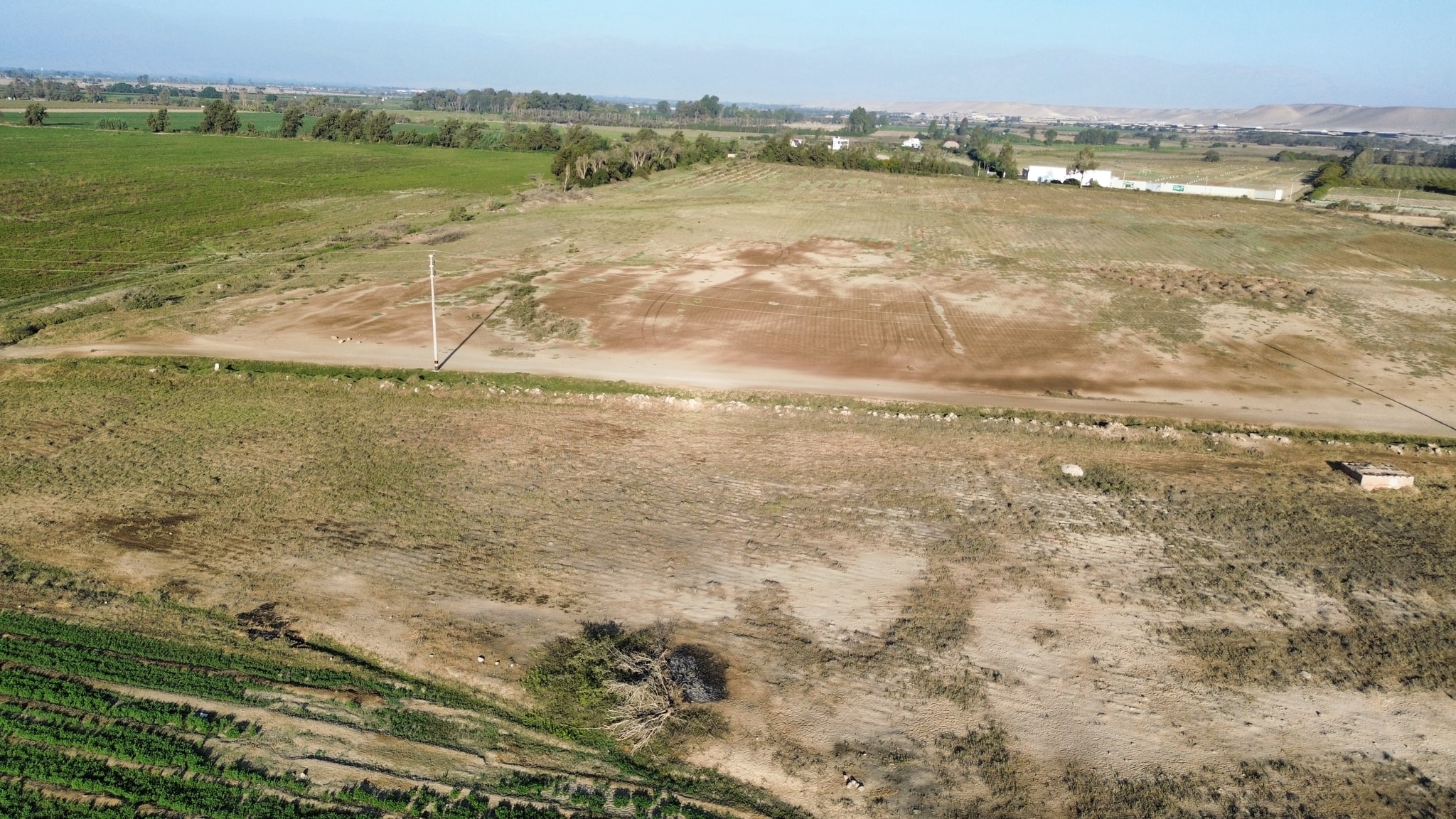 Venta de 15 hectáreas frente a Panamericana Sur — foto 3