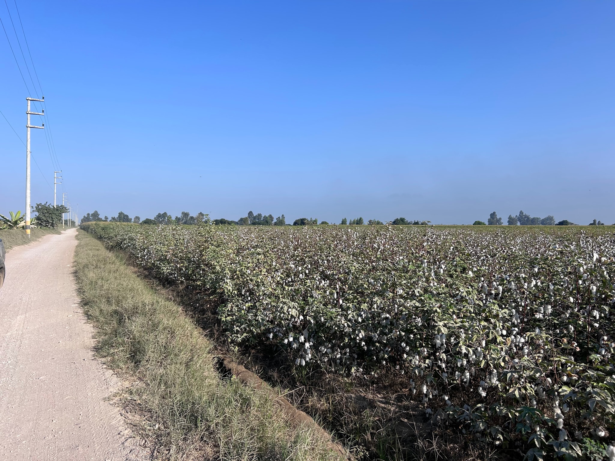 Venta de terreno de 10 hectáreas en el Carmen Chincha — foto 8