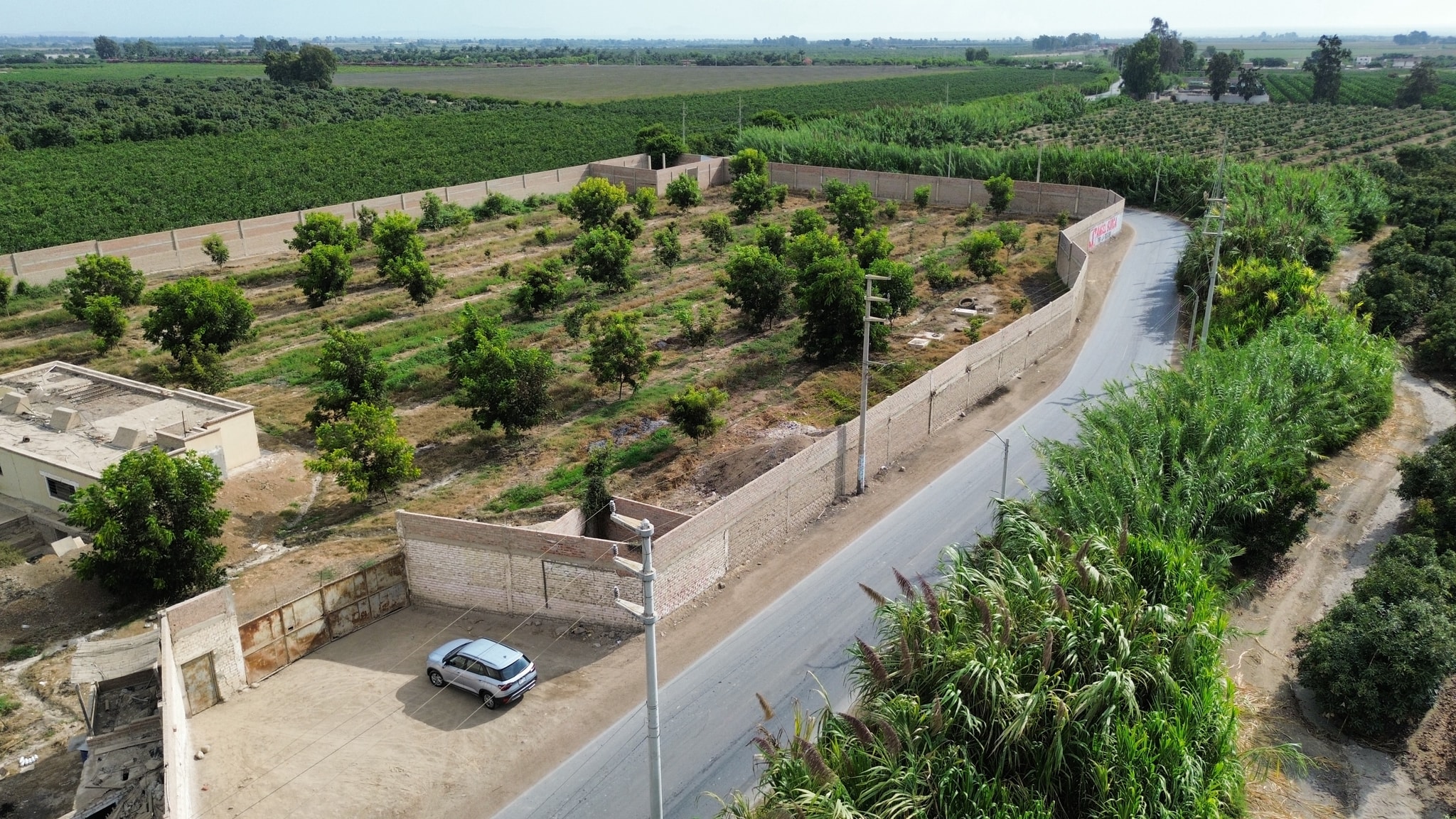 Venta de 3 hectáreas en Santa Rosa Chincha — foto 7