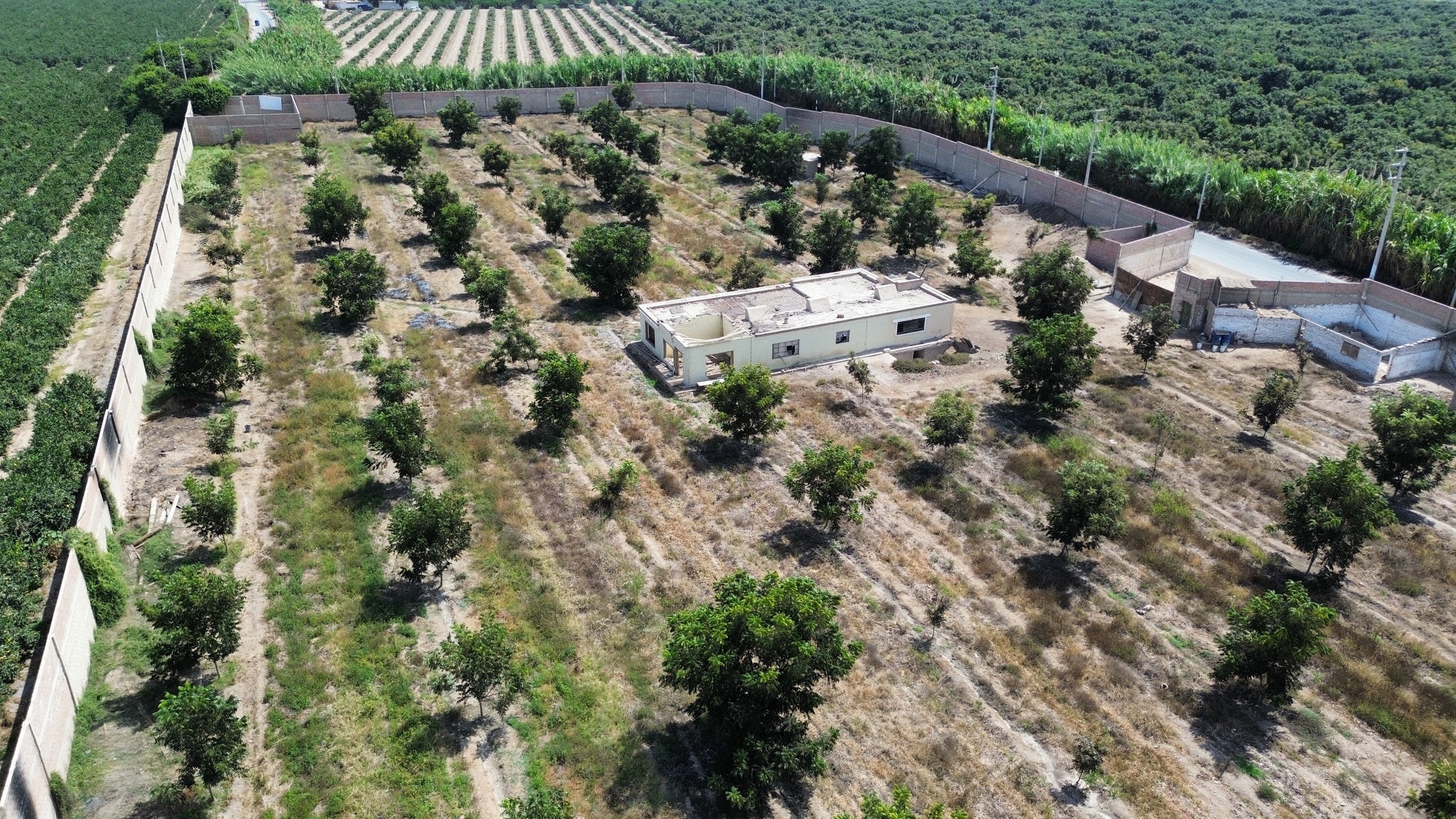 Venta de 3 hectáreas en Santa Rosa Chincha — foto 2