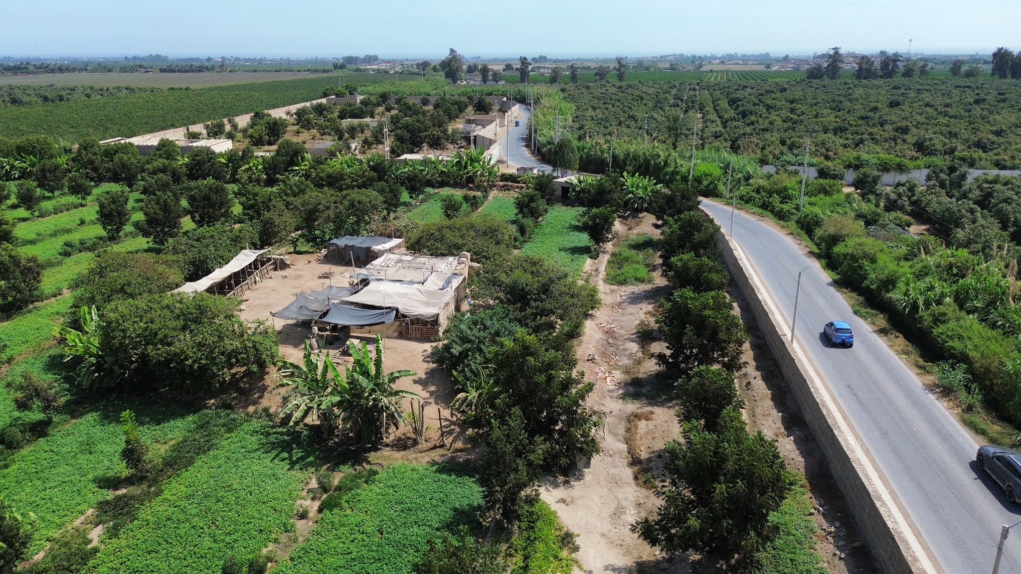 Venta de 3 hectáreas en Santa Rosa Chincha — foto 4