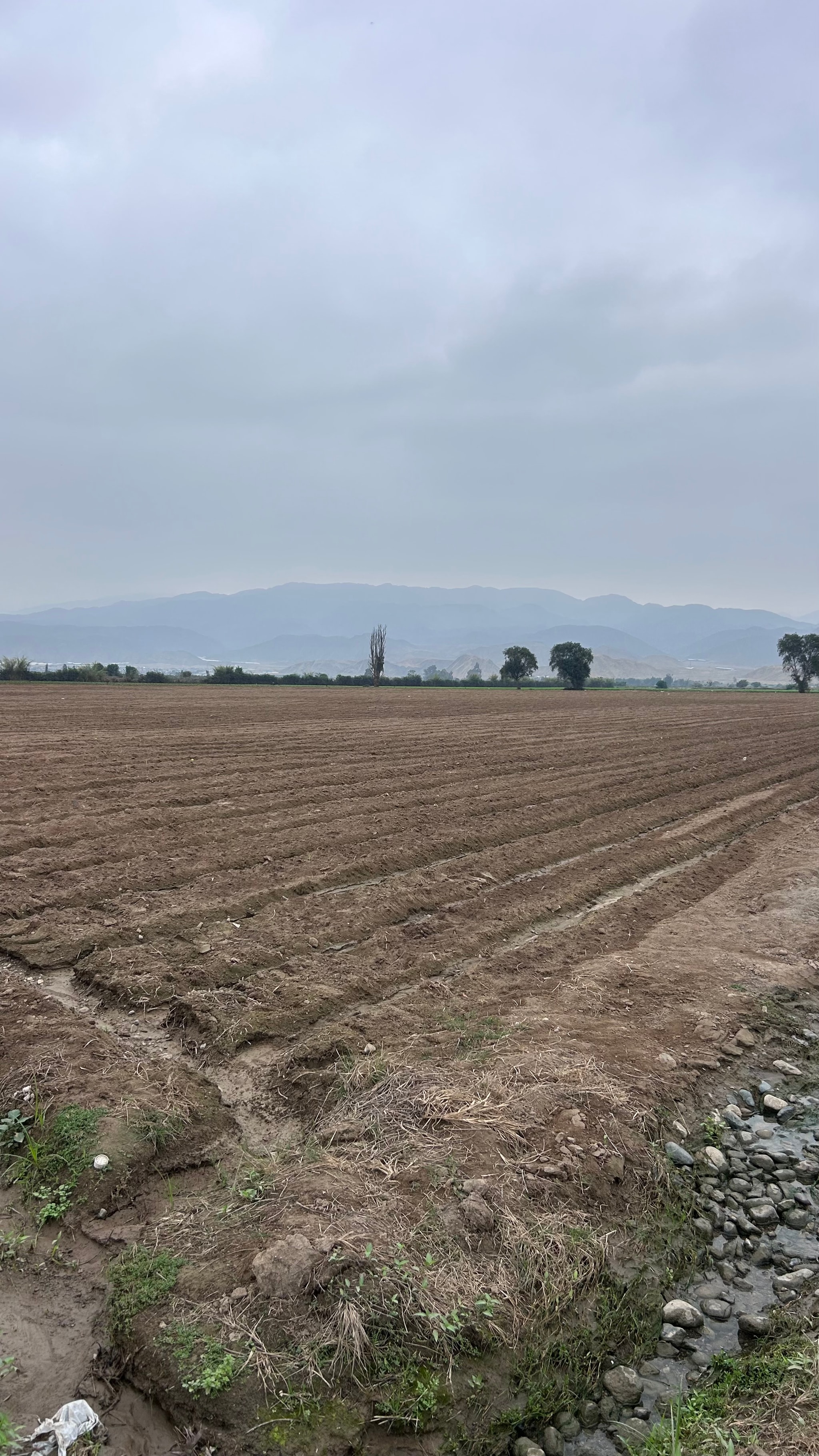 Terreno de 2 has en Quilmana — foto 9