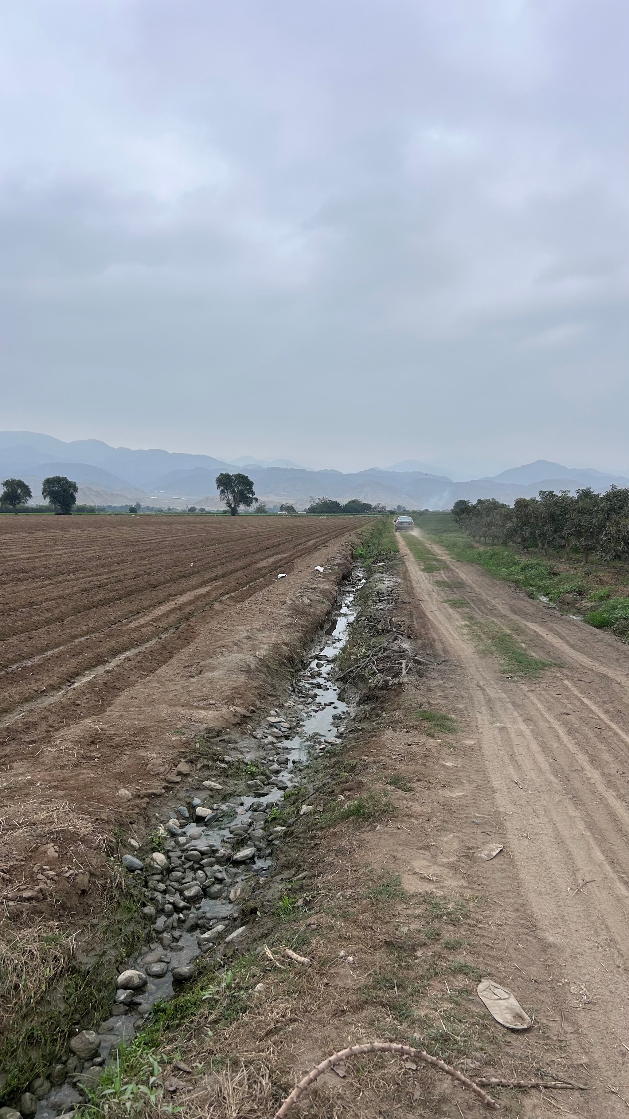 Terreno de 2 has en Quilmana — foto 8