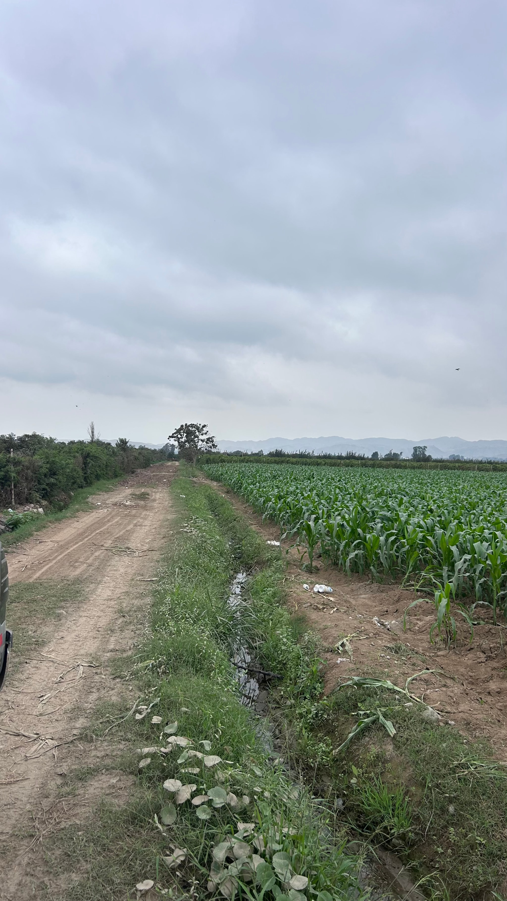 Terreno de 2 has en Quilmana — foto 6