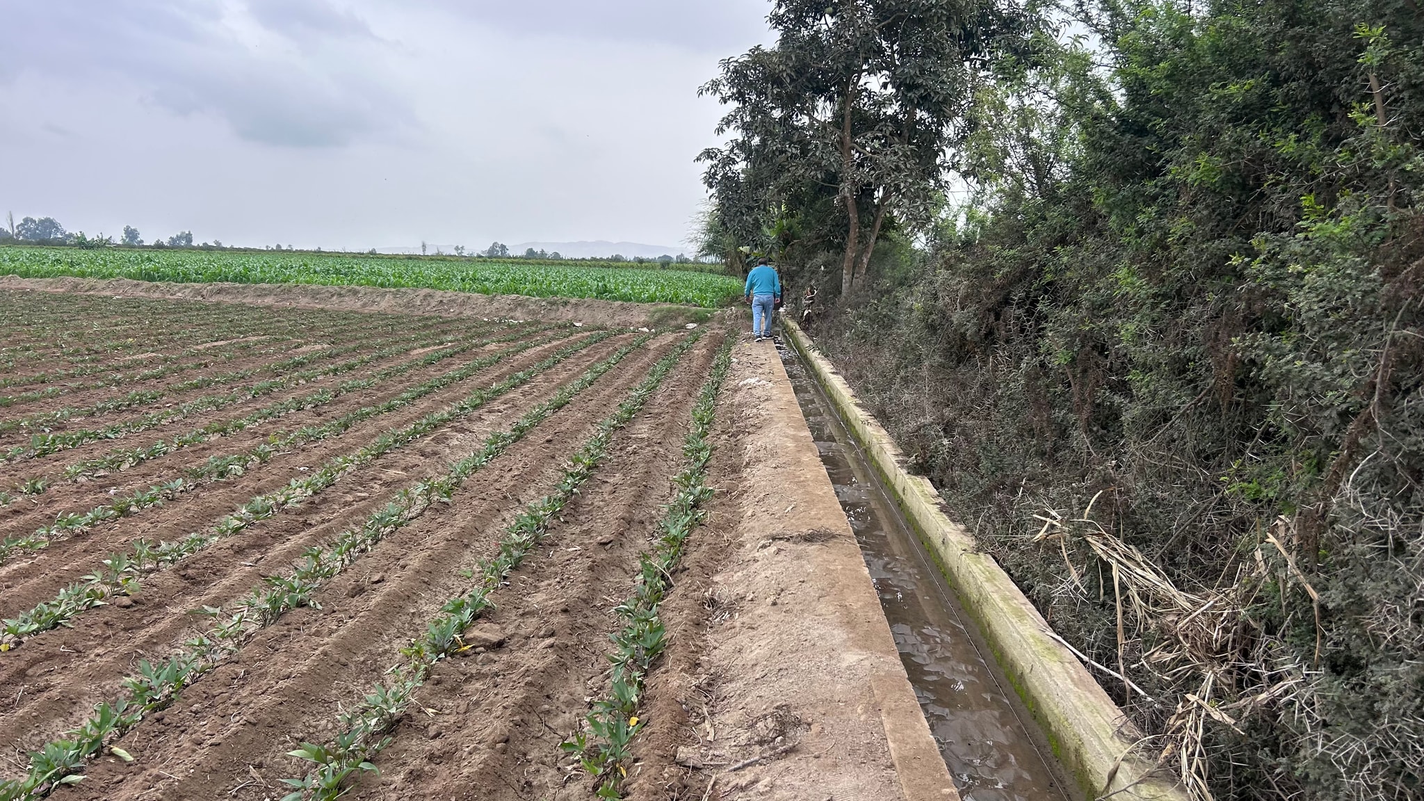 Terreno de 2 has en Quilmana — foto 3