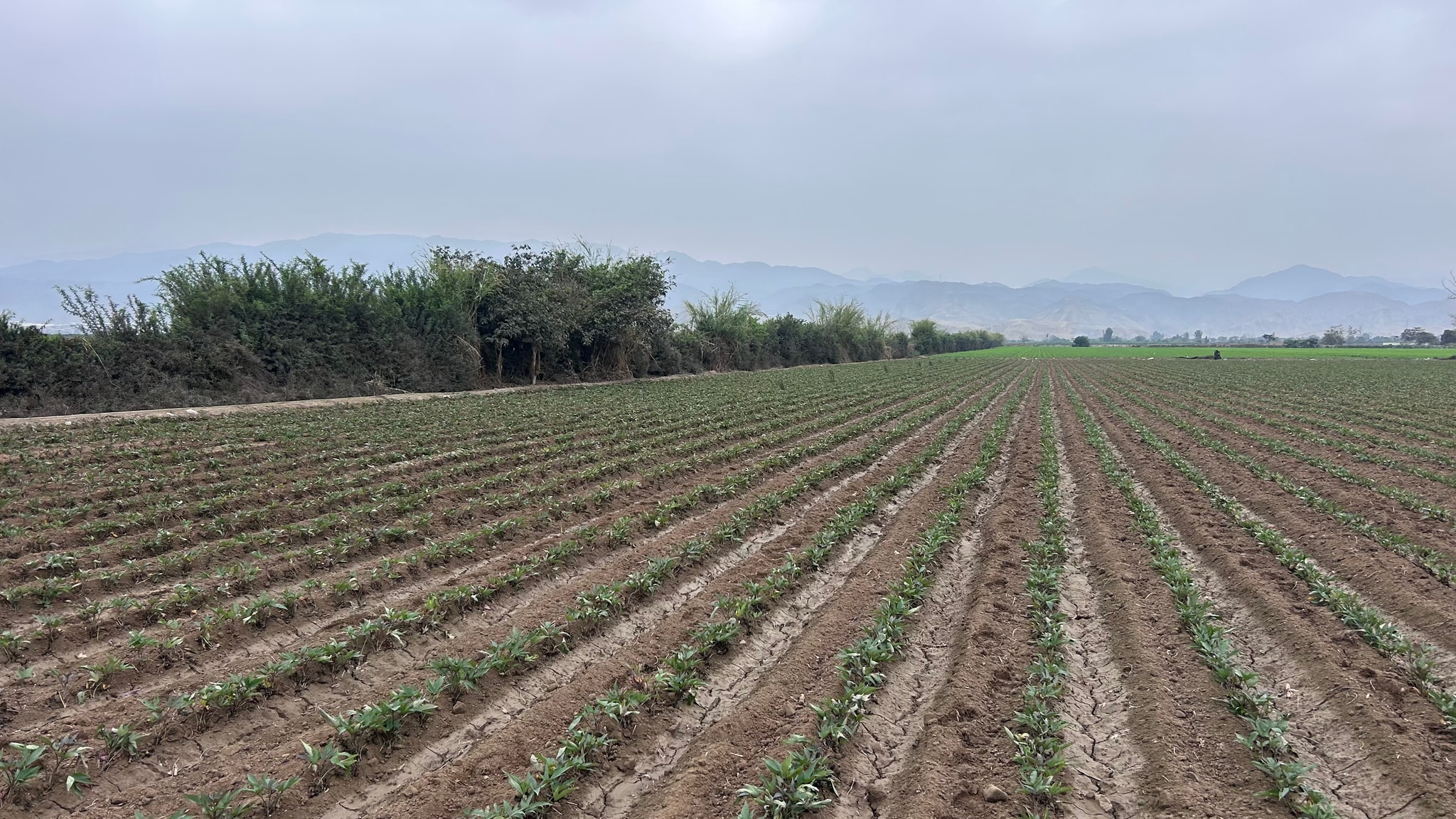 Terreno de 2 has en Quilmana — foto 1