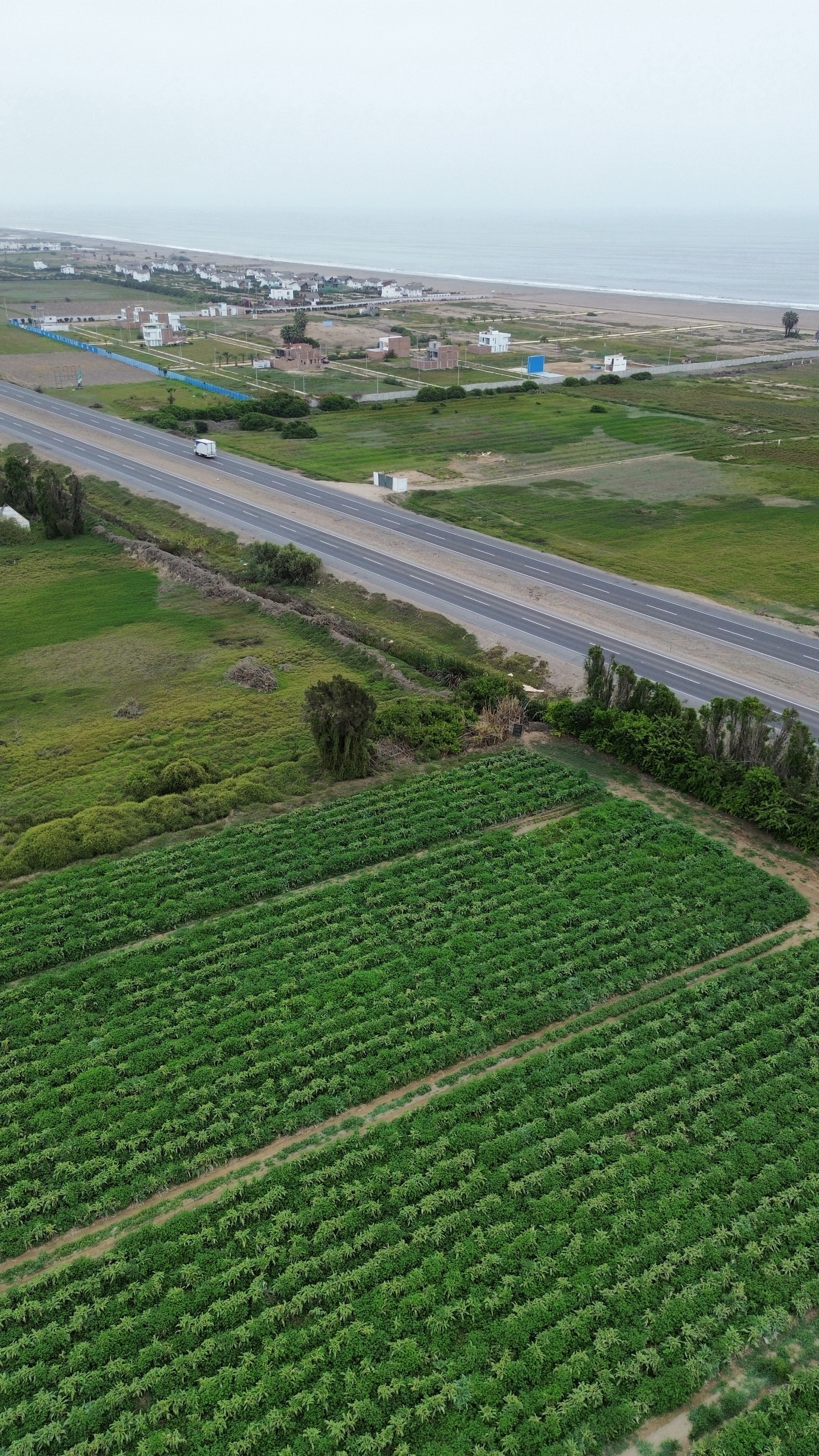 Fundo de 20 hectáreas en Chincha — foto 4