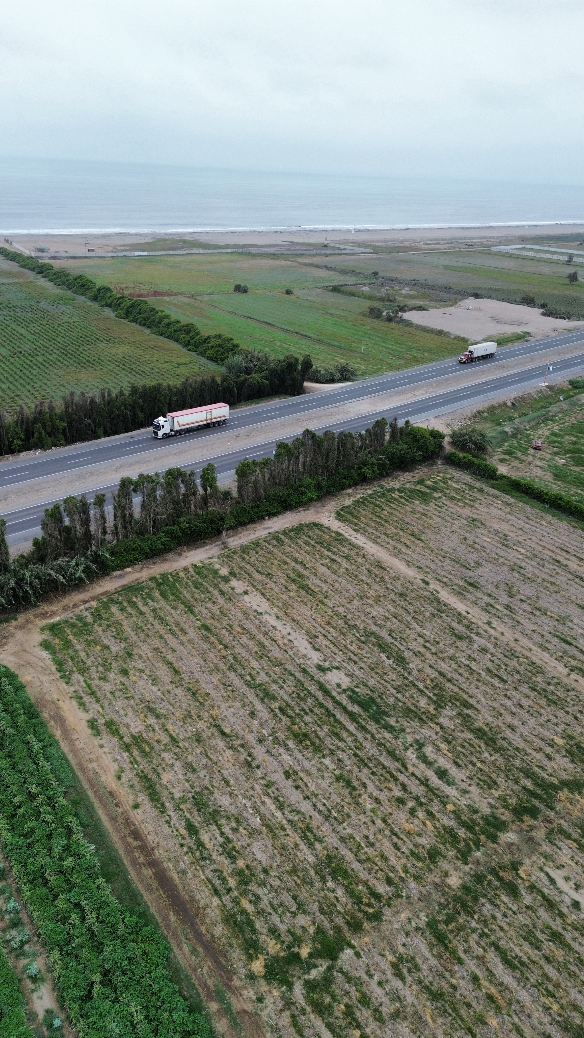 Fundo de 20 hectáreas en Chincha — foto 2