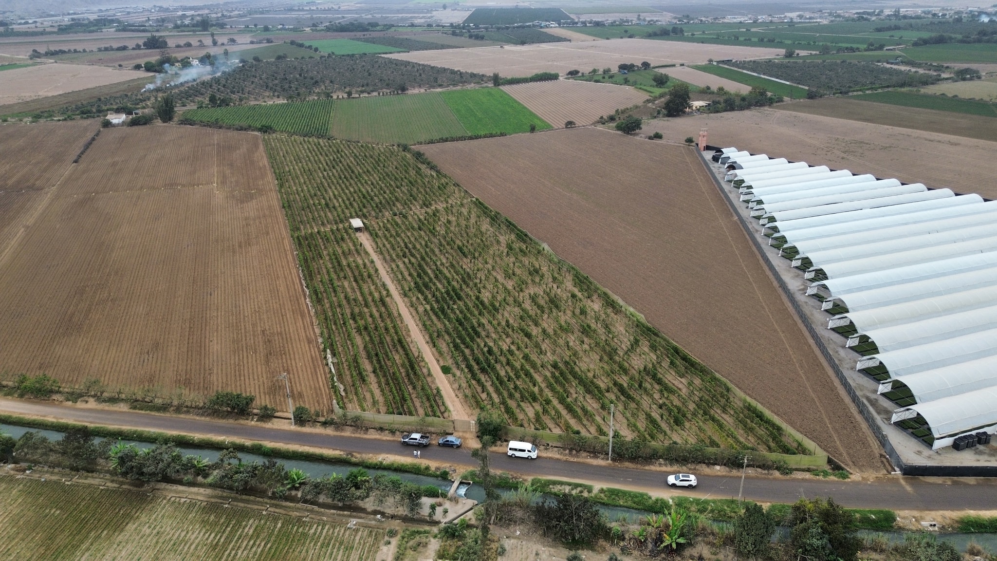 Terreno agrícola 10 hectáreas — foto 1