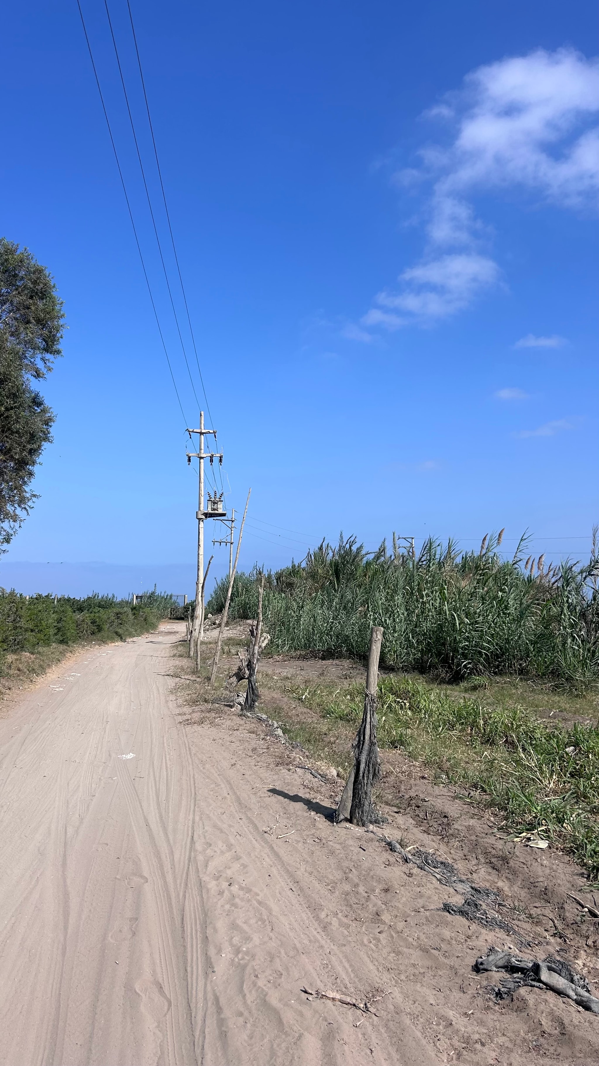 Venta de parcela de 900 m2 — foto 5
