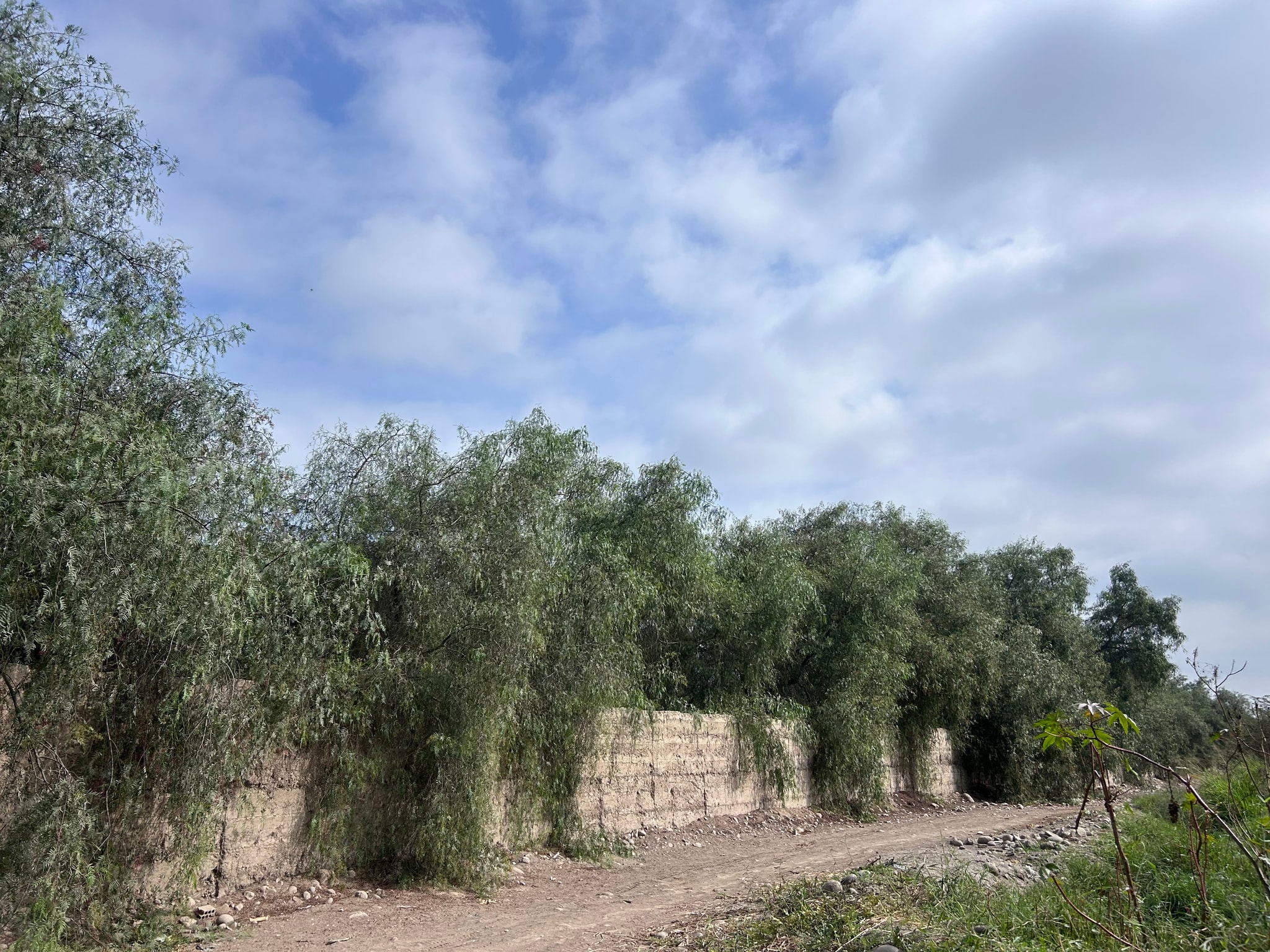 Venta de 6.5 hectáreas en el Carmen Chincha — foto 5