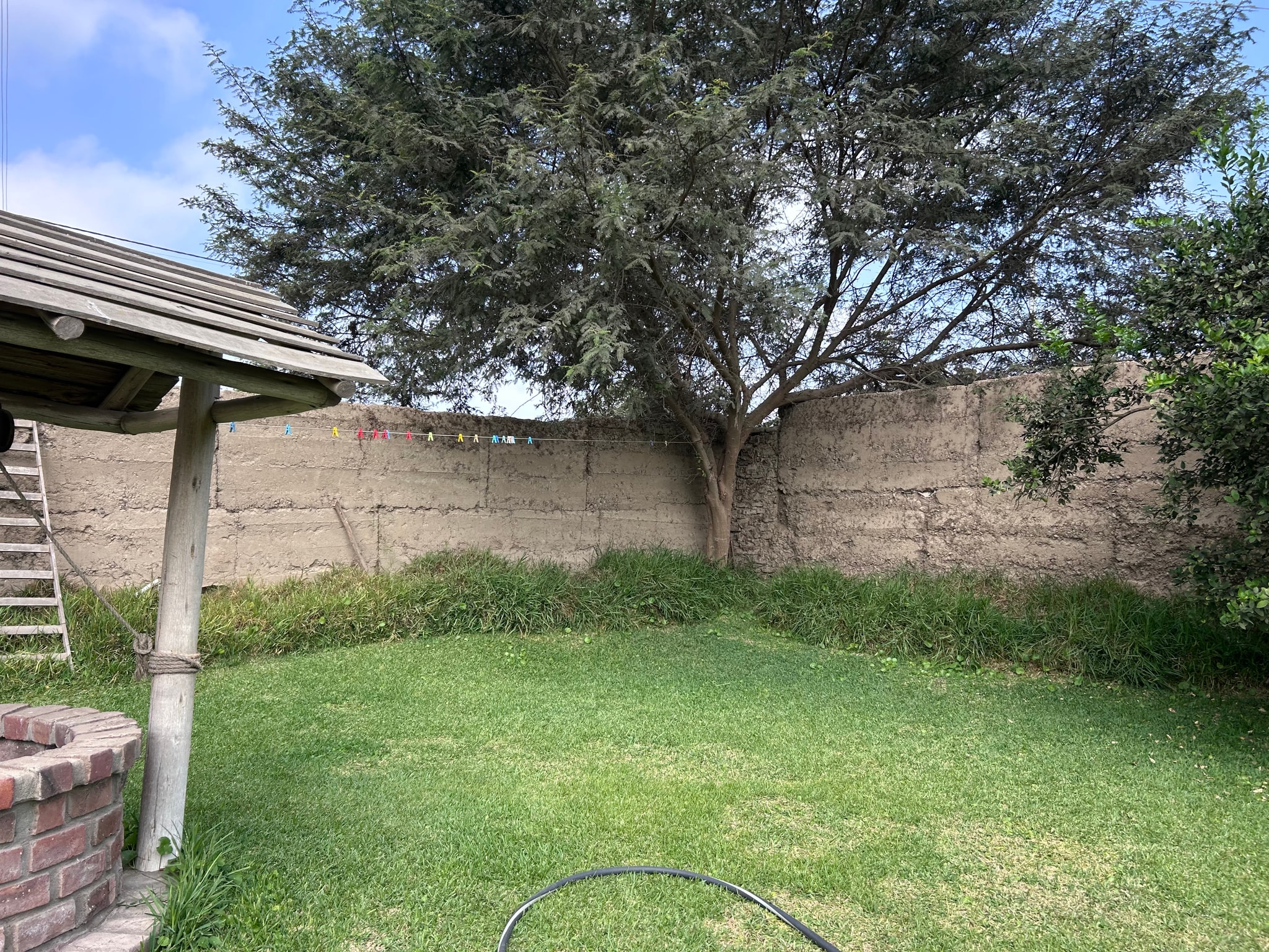 Venta de 6.5 hectáreas en el Carmen Chincha — foto 7