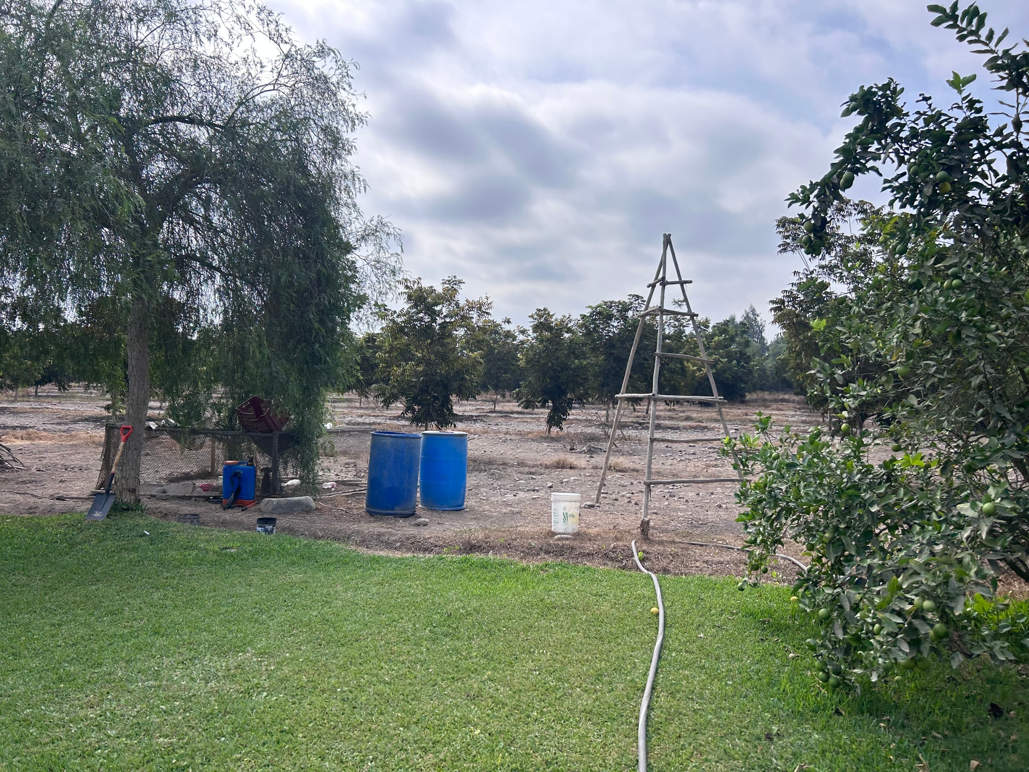 Venta de 6.5 hectáreas en el Carmen Chincha — foto 8