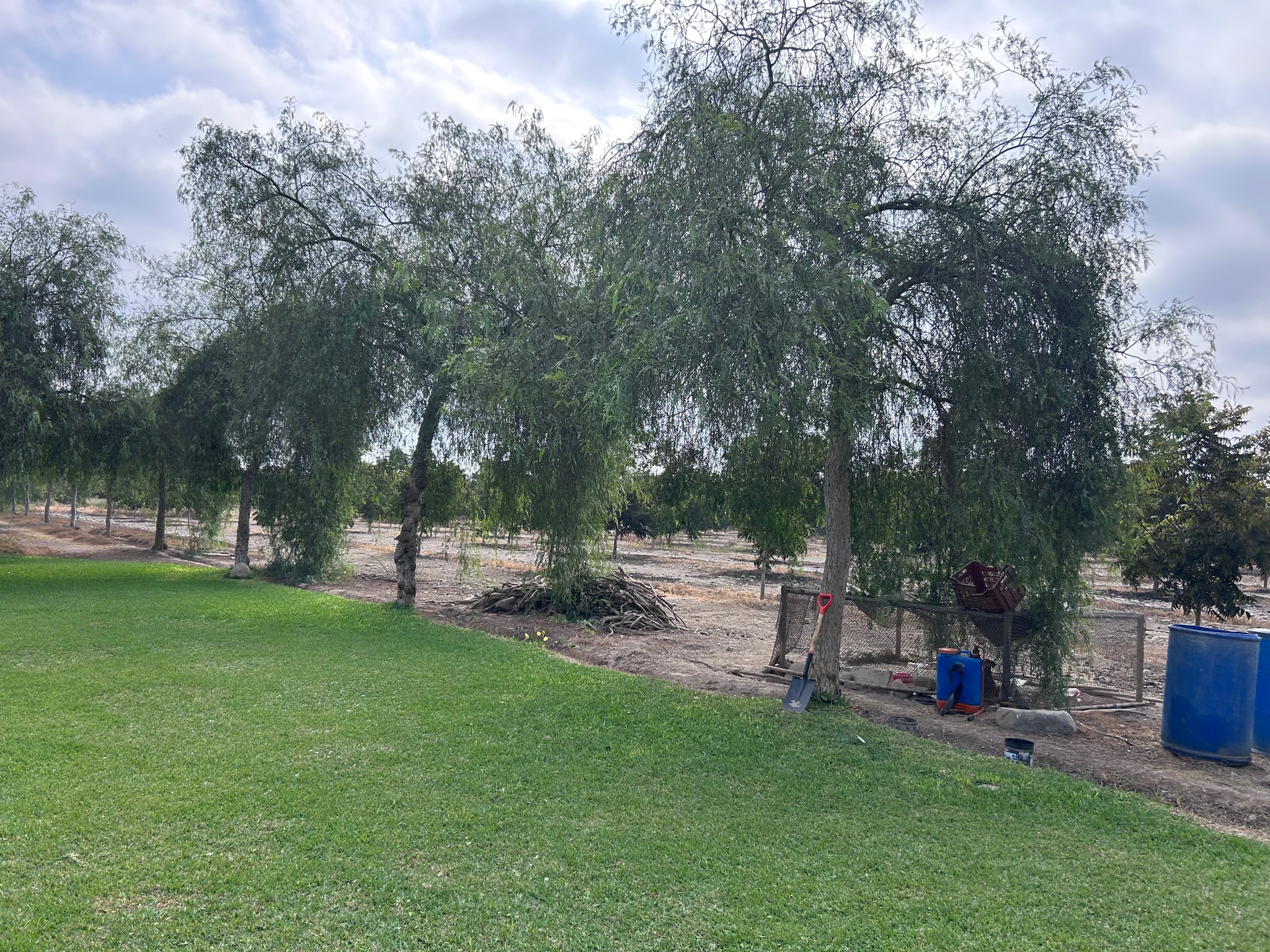 Venta de 6.5 hectáreas en el Carmen Chincha — foto 9