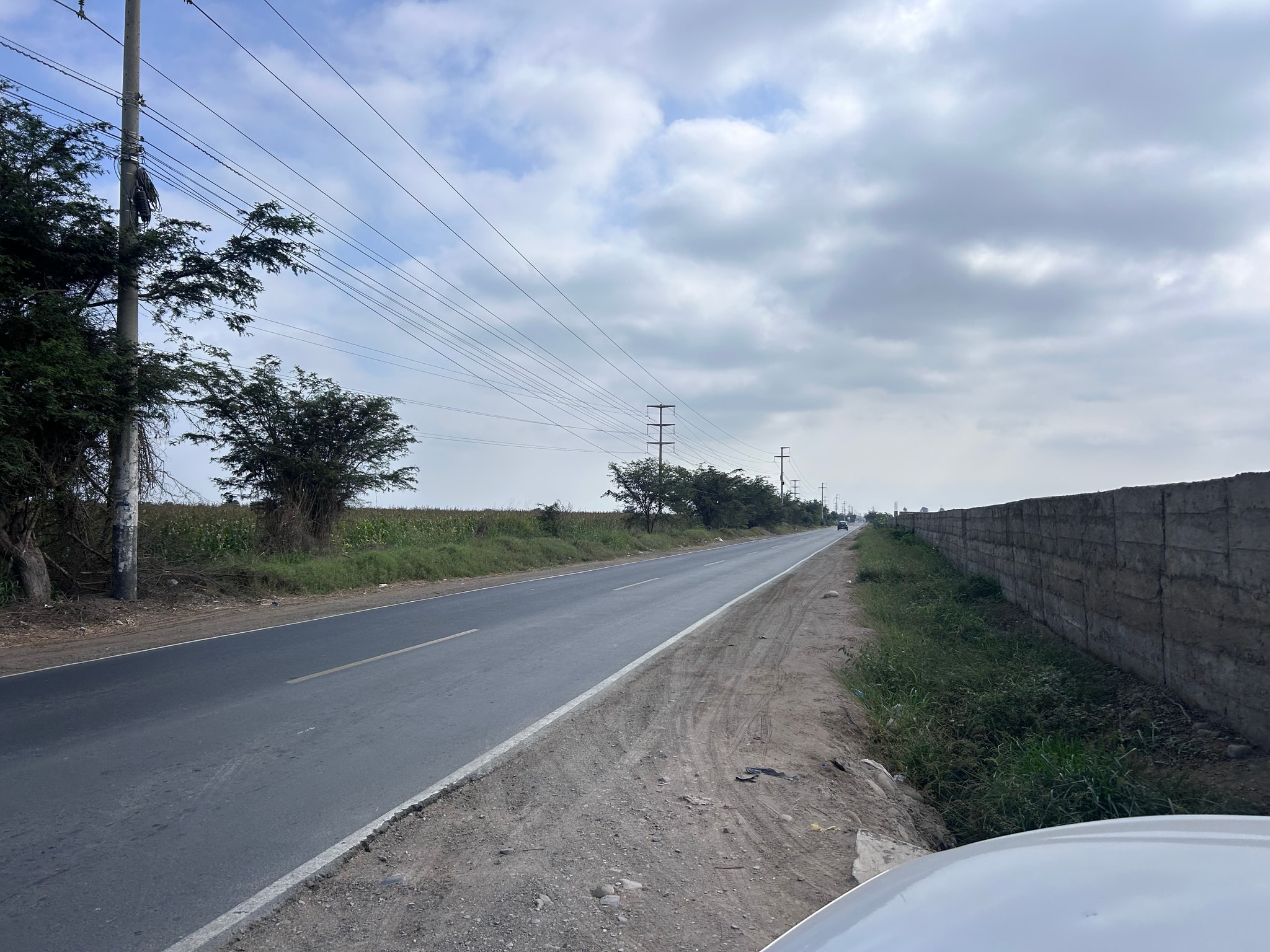 Venta de 6.5 hectáreas en el Carmen Chincha — foto 18