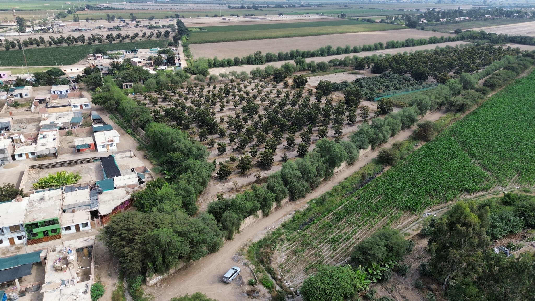 Venta de 6.5 hectáreas en el Carmen Chincha — foto 2
