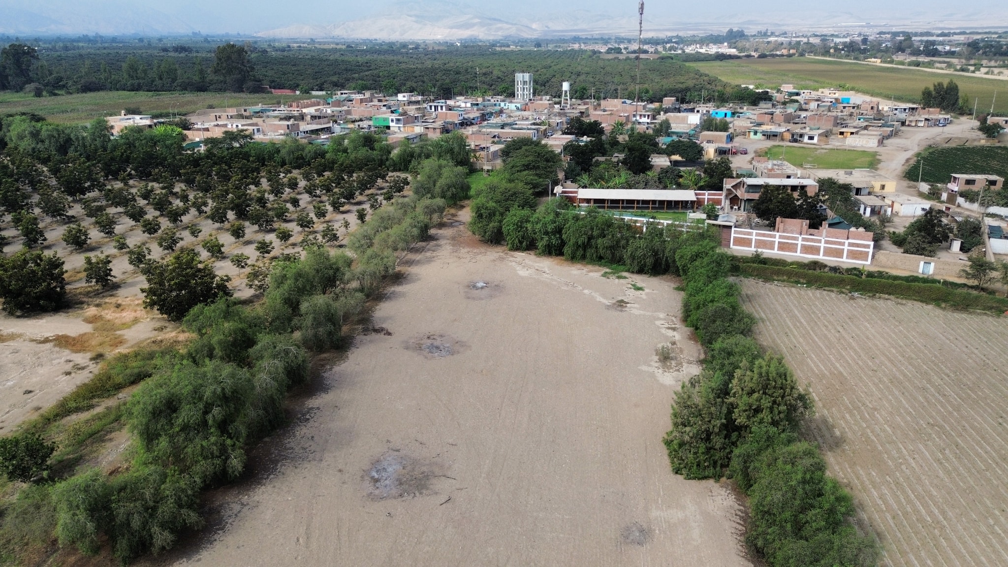 Venta de 6.5 hectáreas en el Carmen Chincha — foto 3