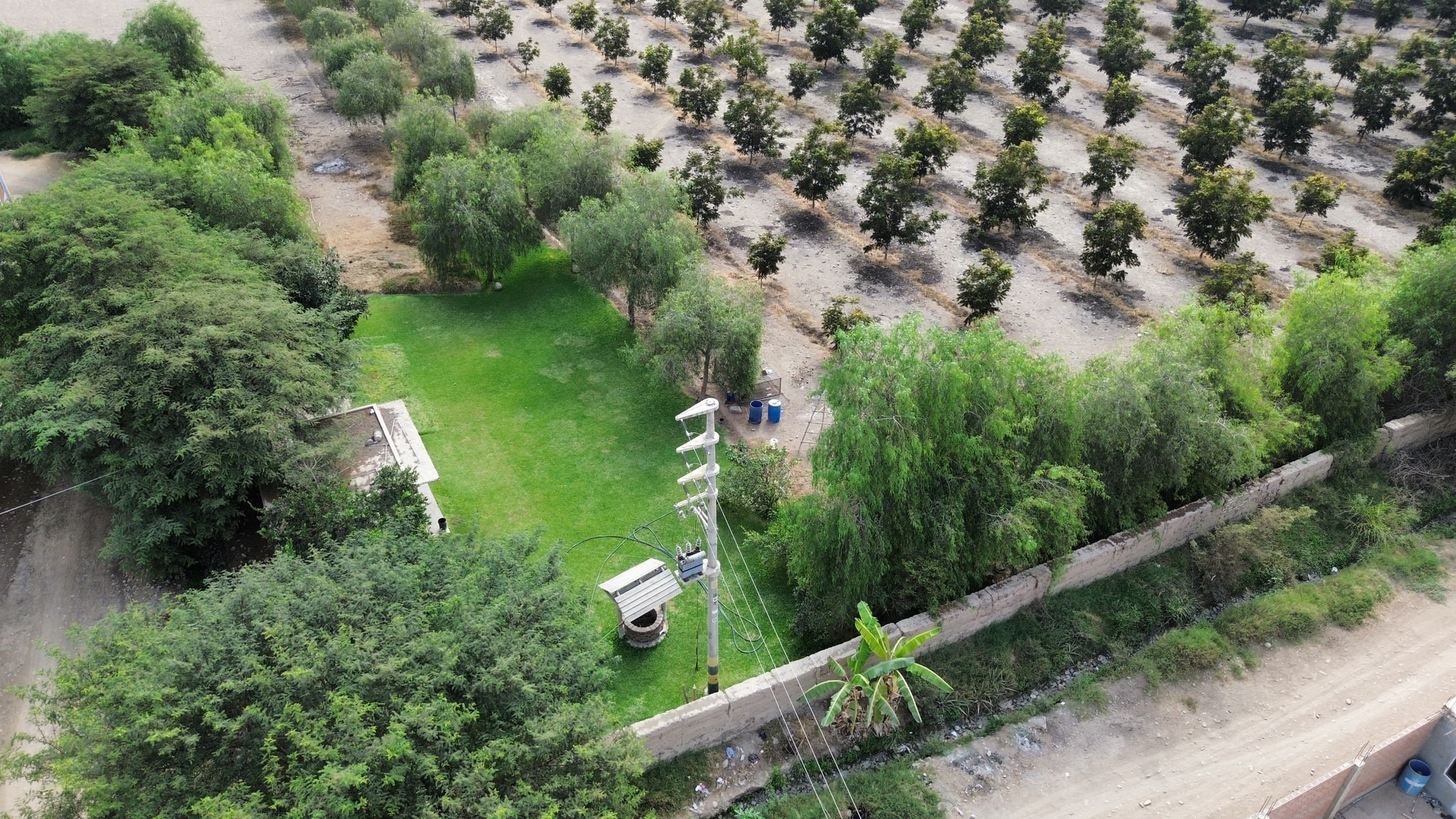 Venta de 6.5 hectáreas en el Carmen Chincha — foto 4