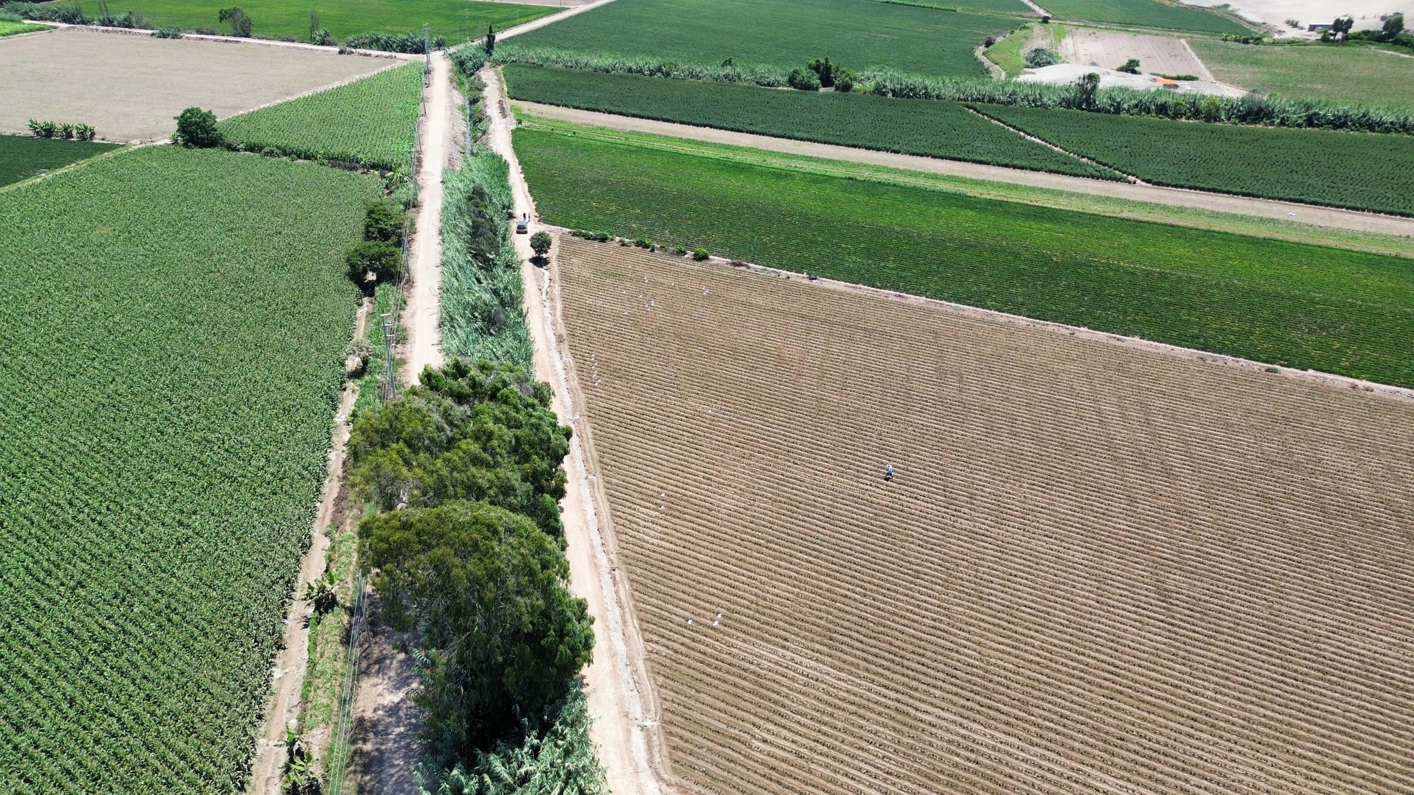 1.5 hectáreas en Cerro Azul Cañete — foto 3