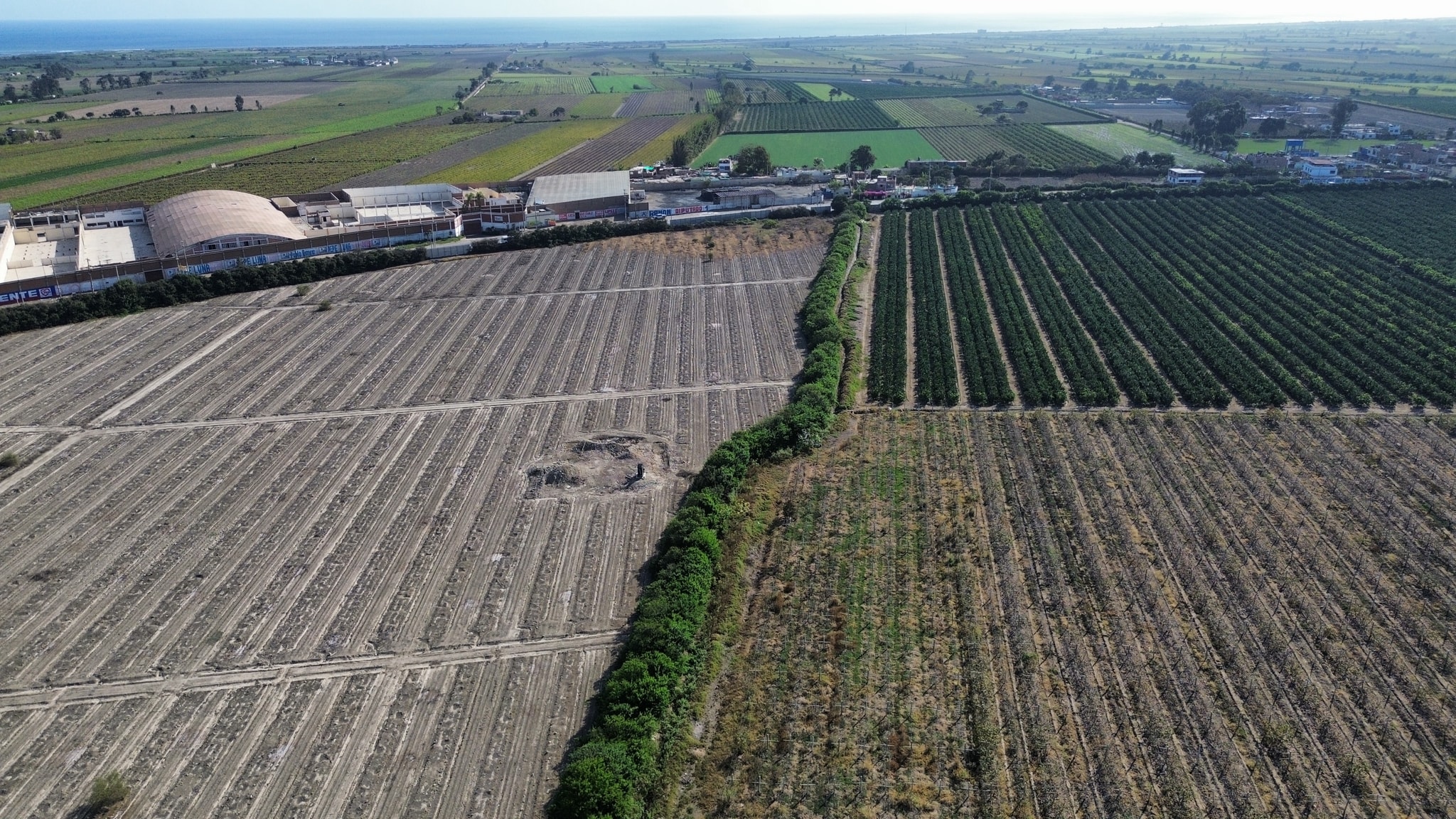 Terreno de 16 hectáreas para proyectos a gran escala — foto 5